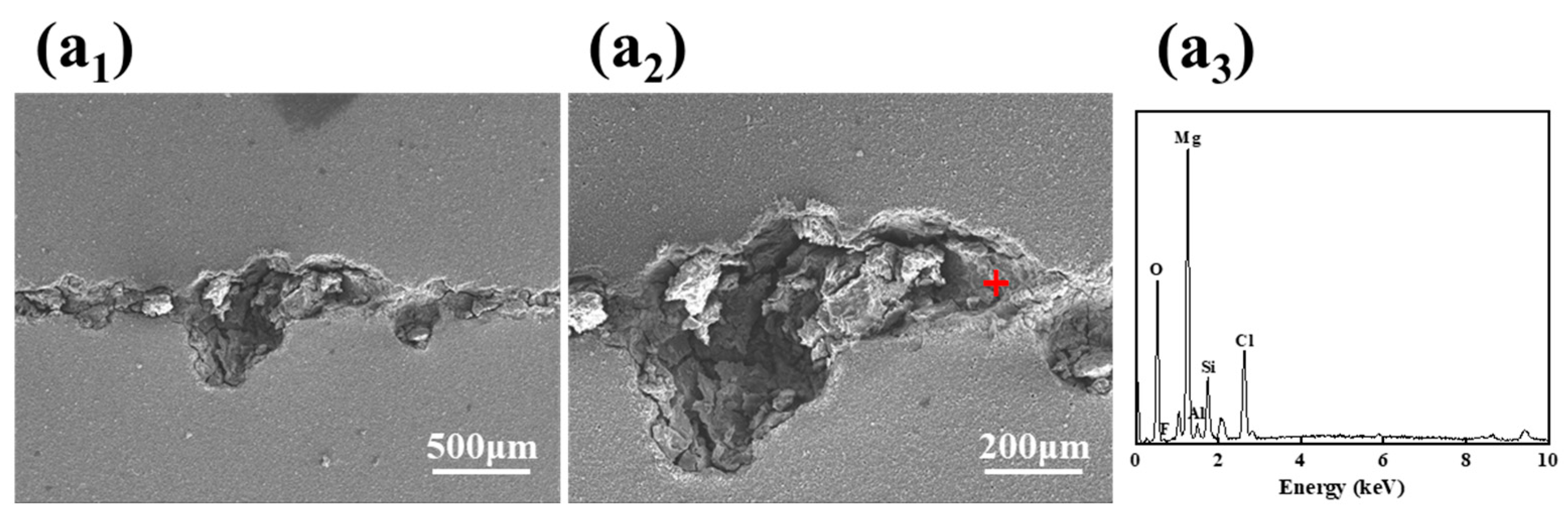 Materials 18 00361 g013a