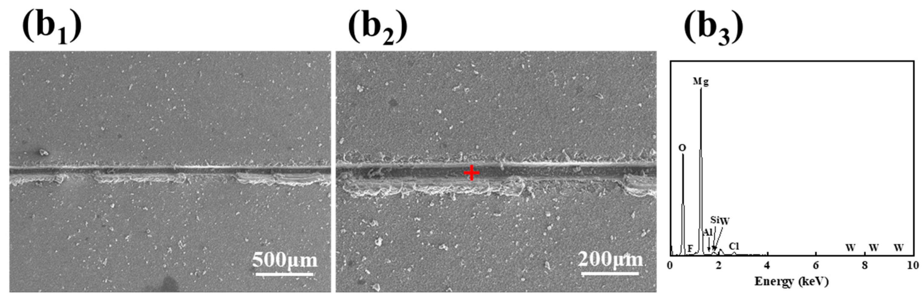 Materials 18 00361 g013b