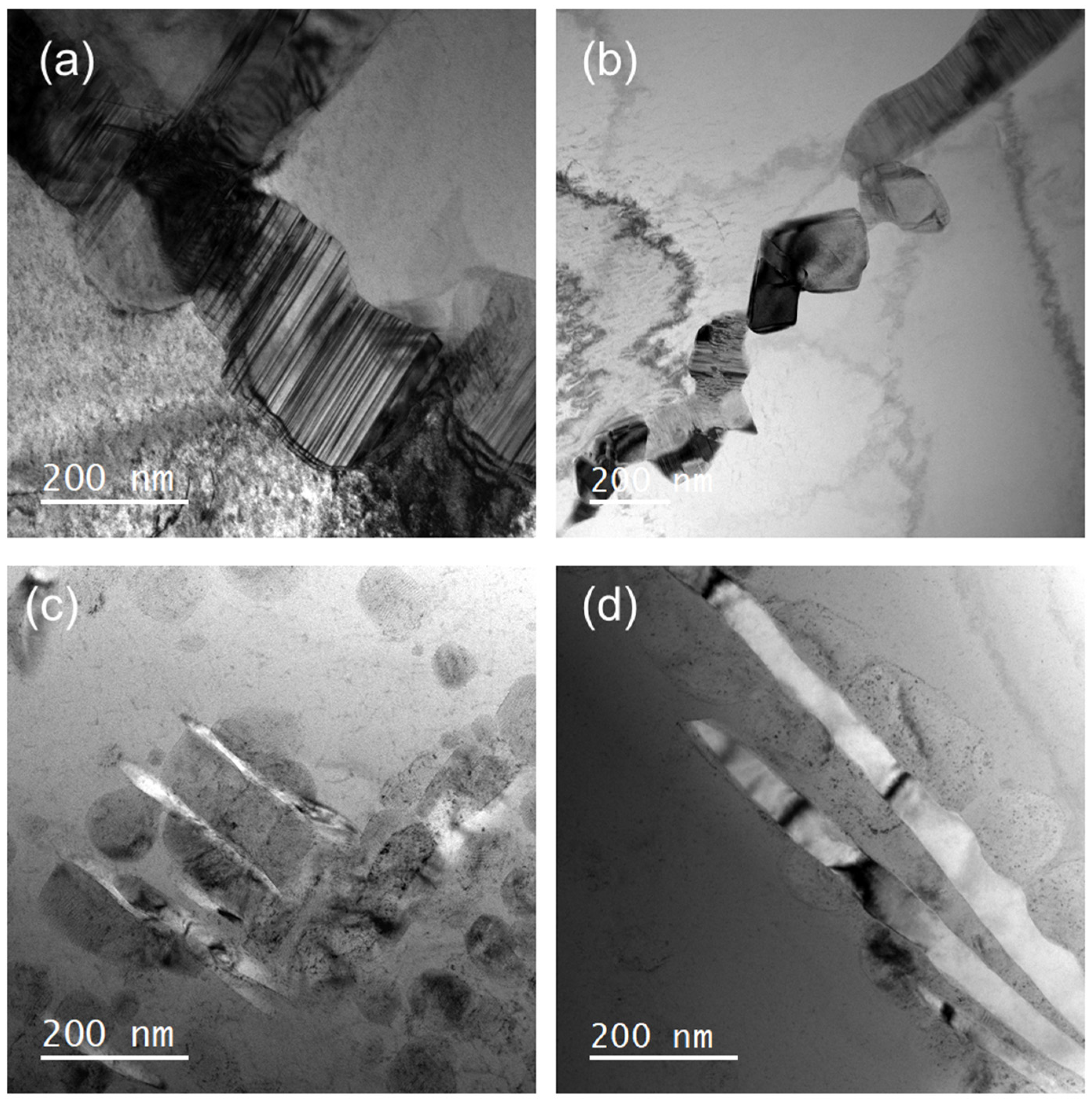 Materials 18 00366 g003