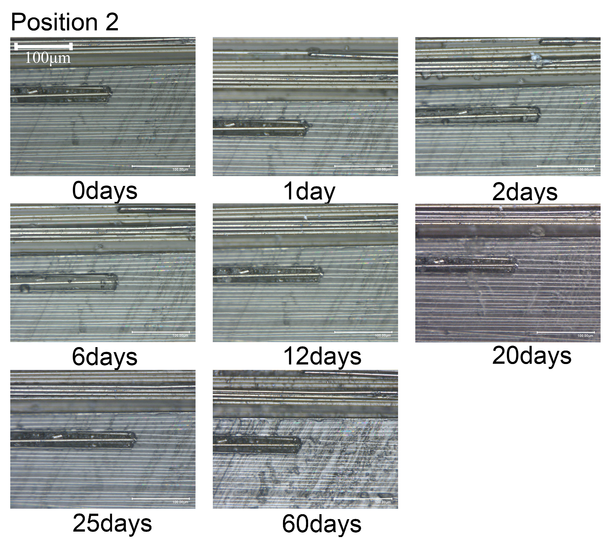 Materials 18 00369 g009