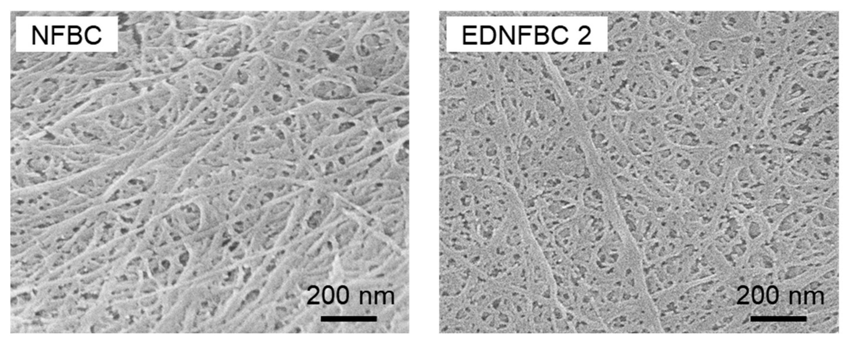 Materials 18 00374 g004