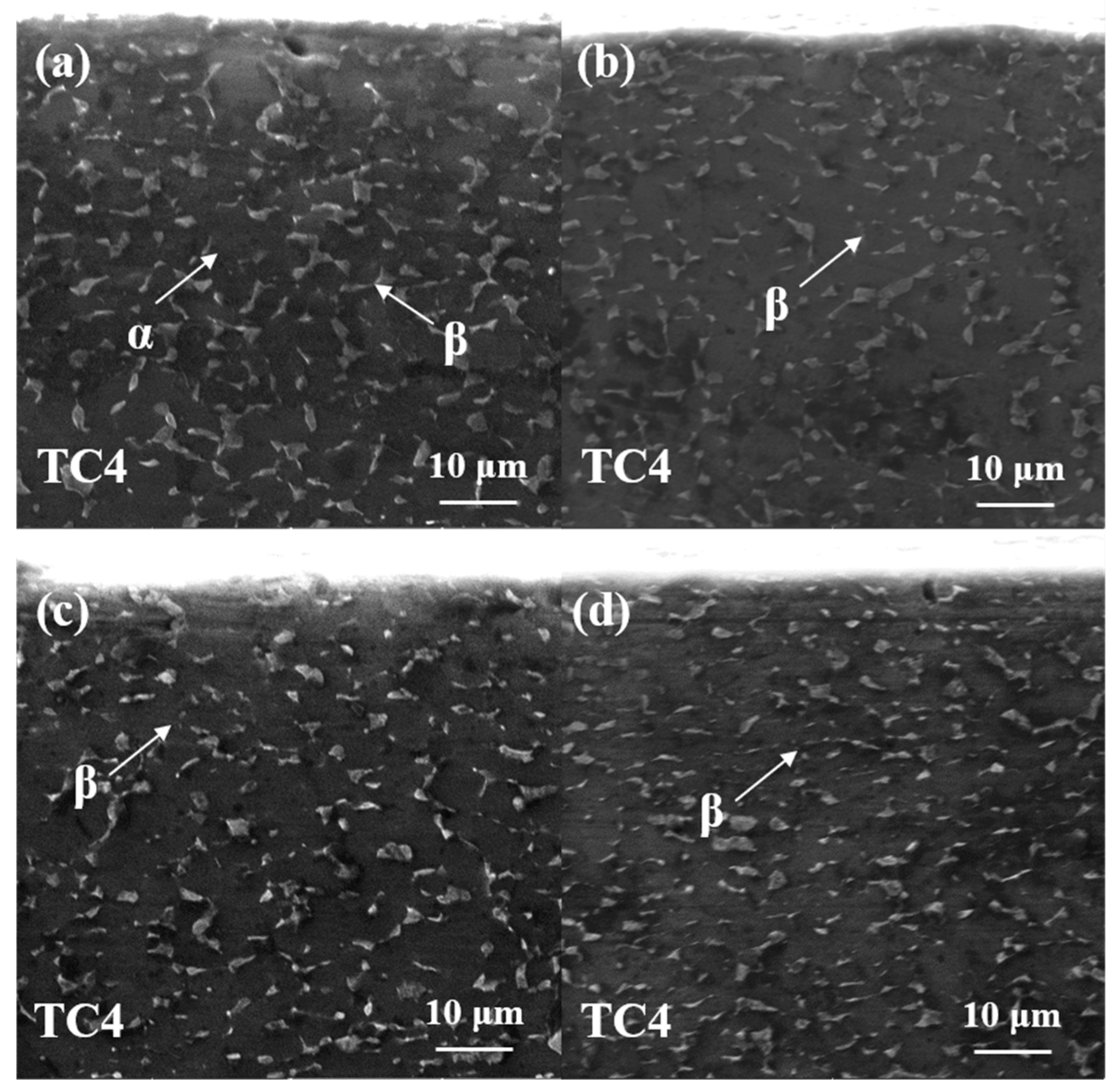 Materials 18 00378 g001