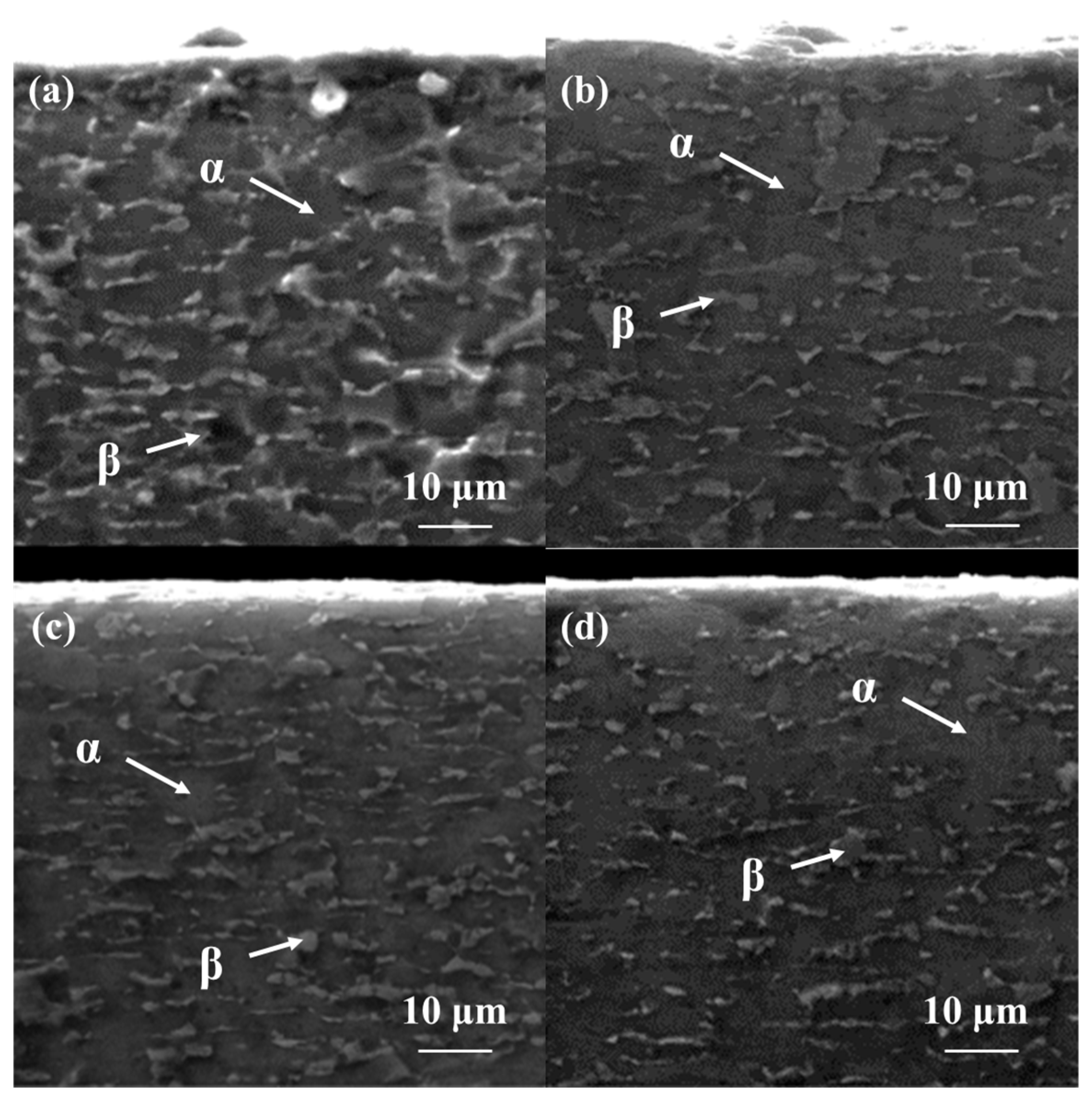 Materials 18 00378 g002