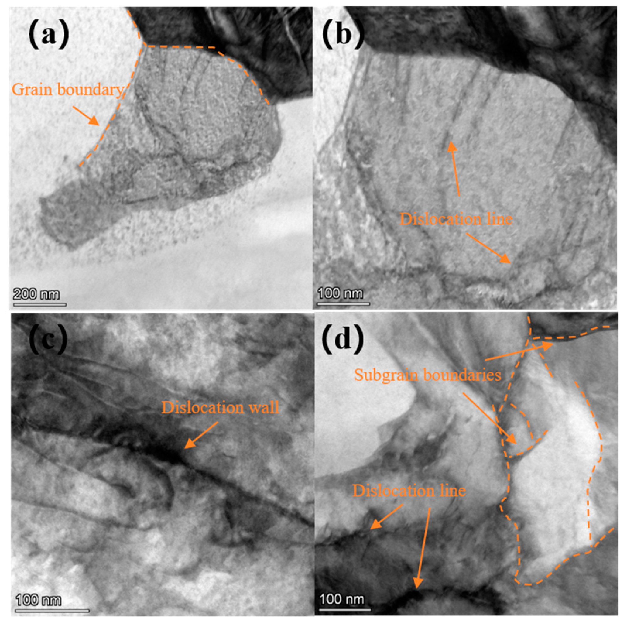 Materials 18 00378 g007