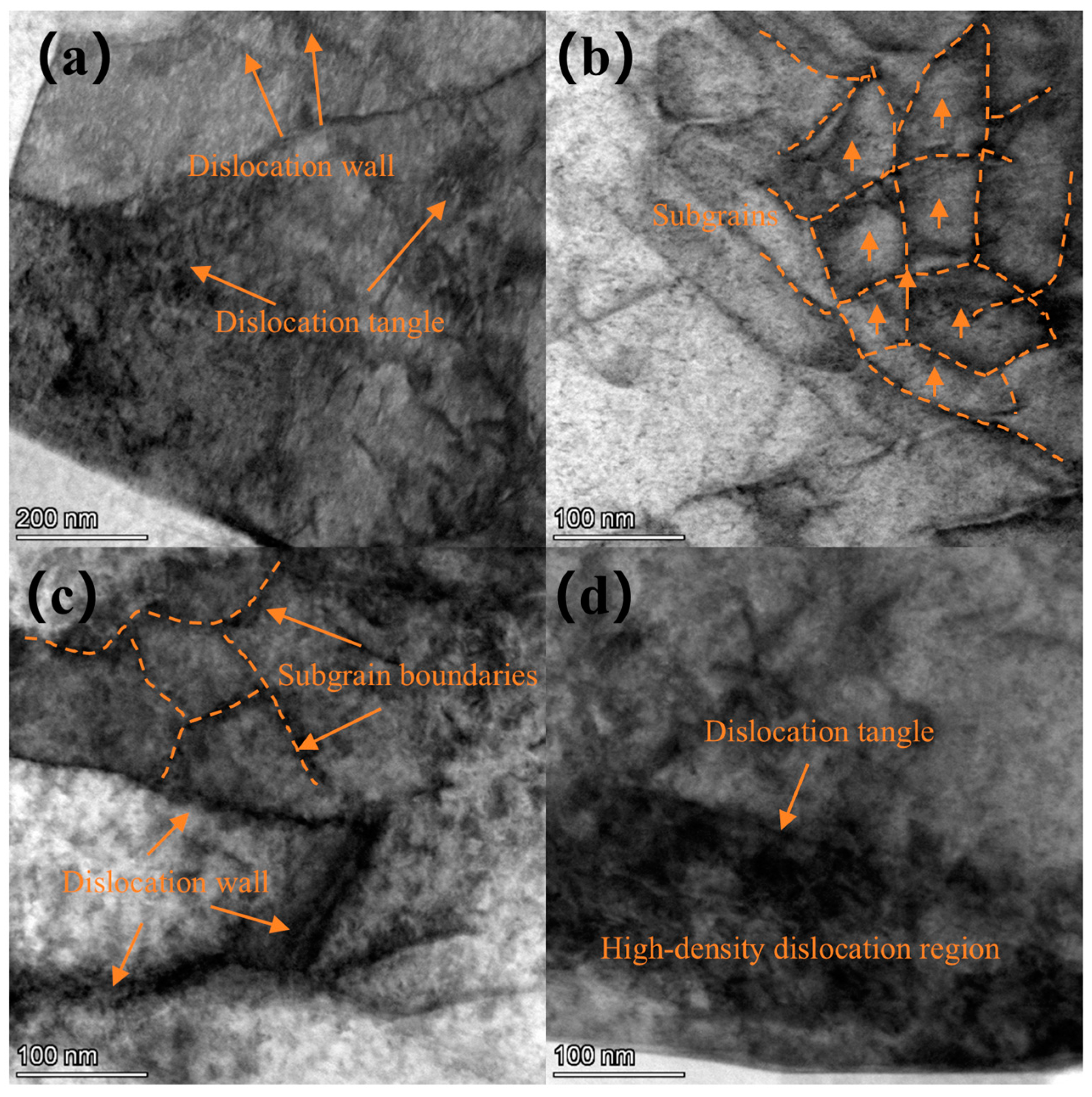 Materials 18 00378 g010