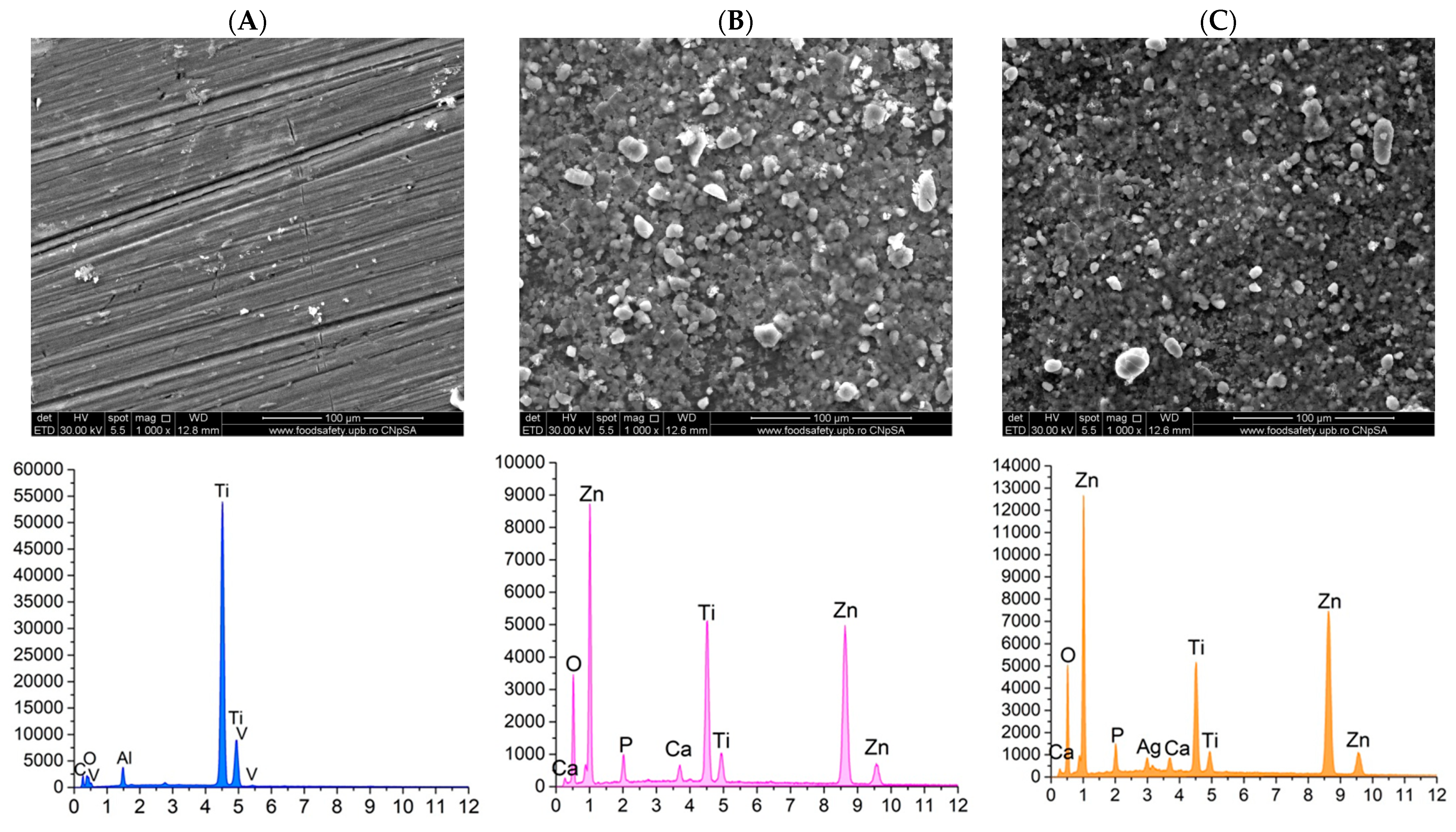 Materials 18 00382 g009