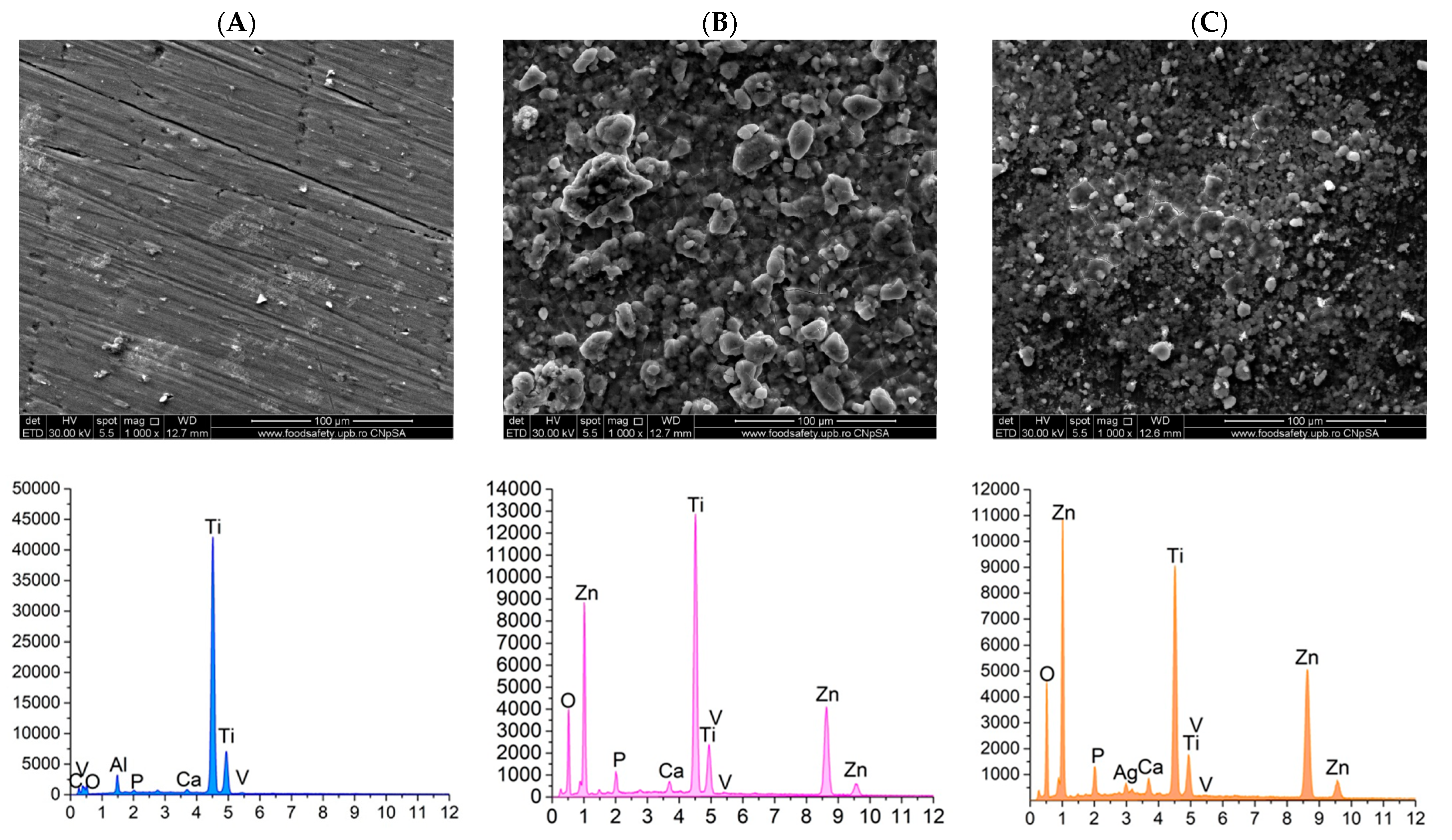 Materials 18 00382 g010