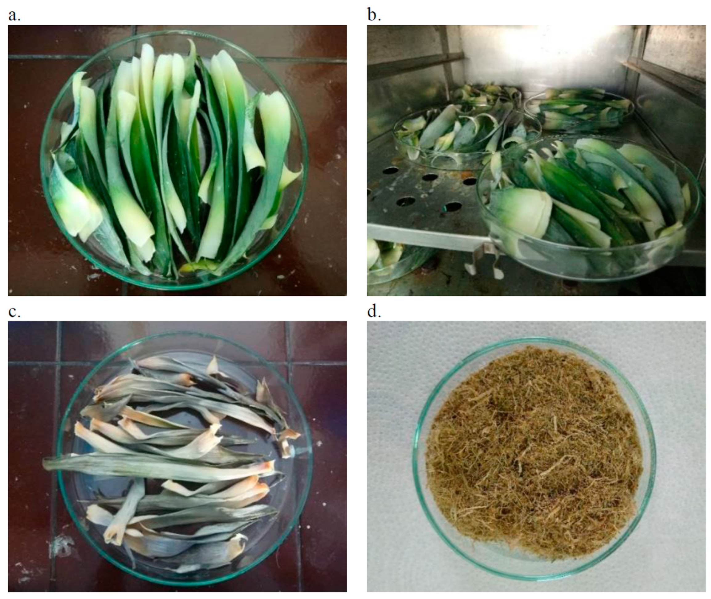 Materials 18 00386 g001