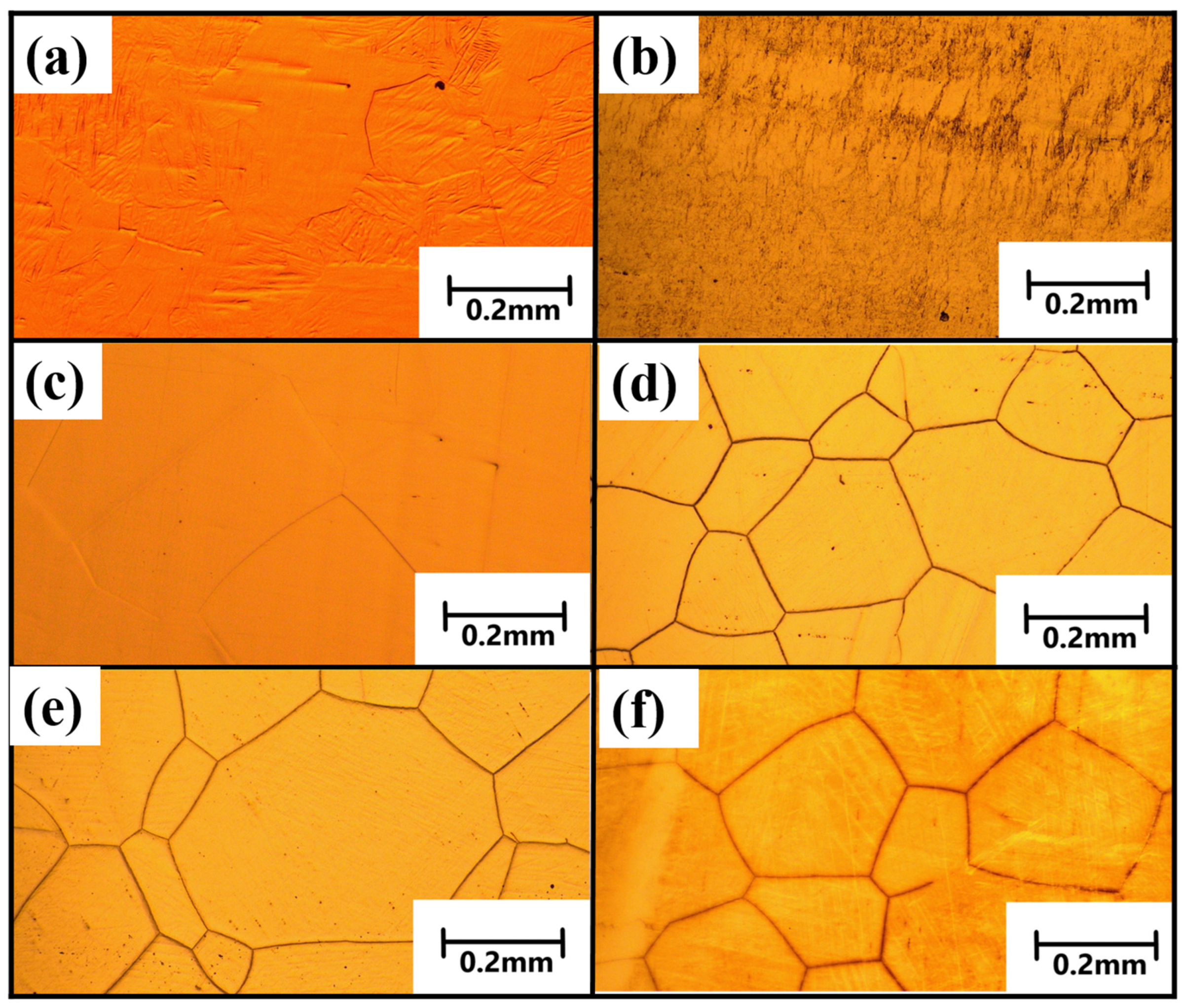 Materials 18 00387 g006