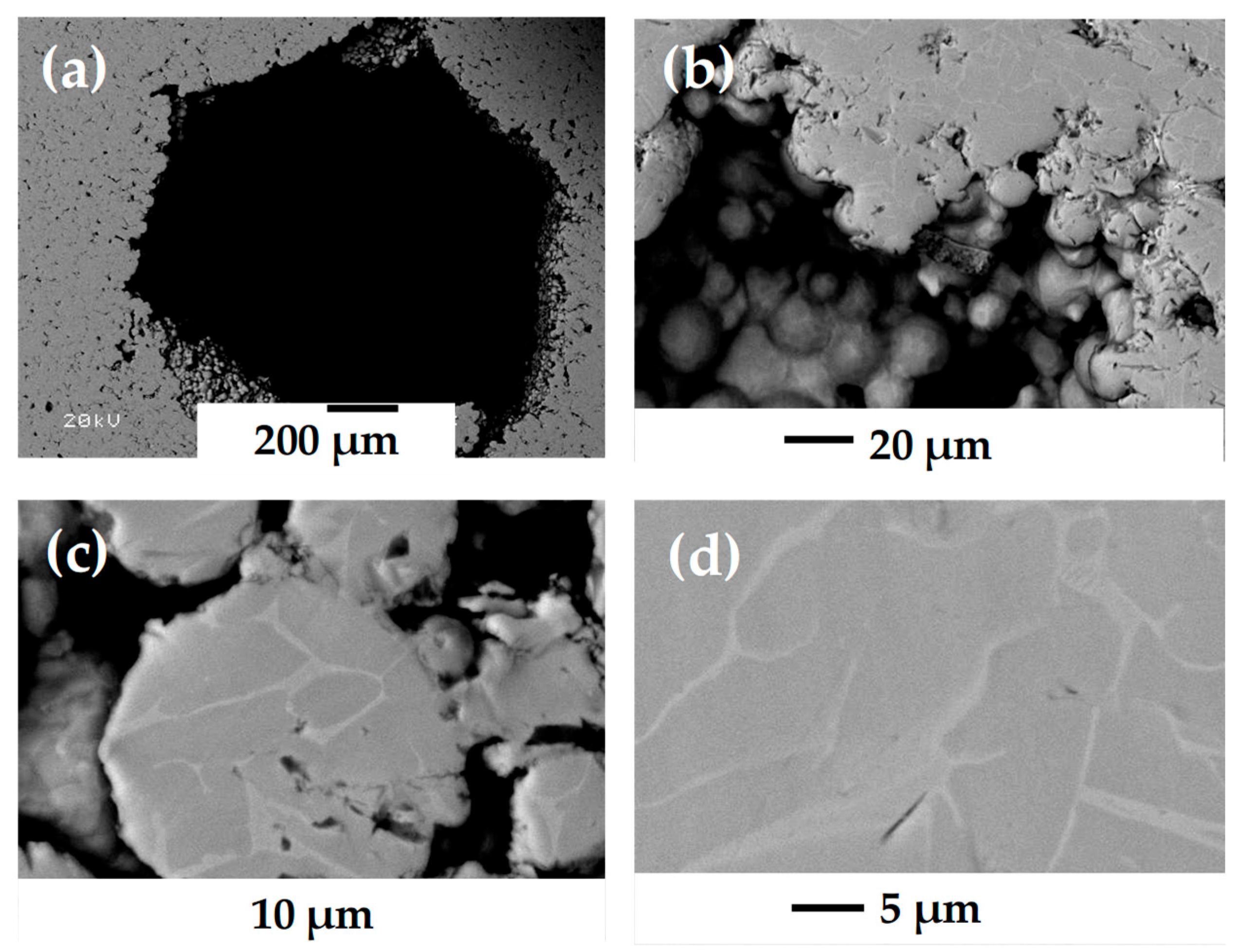 Materials 18 00389 g005 Materials 18 00389 g005