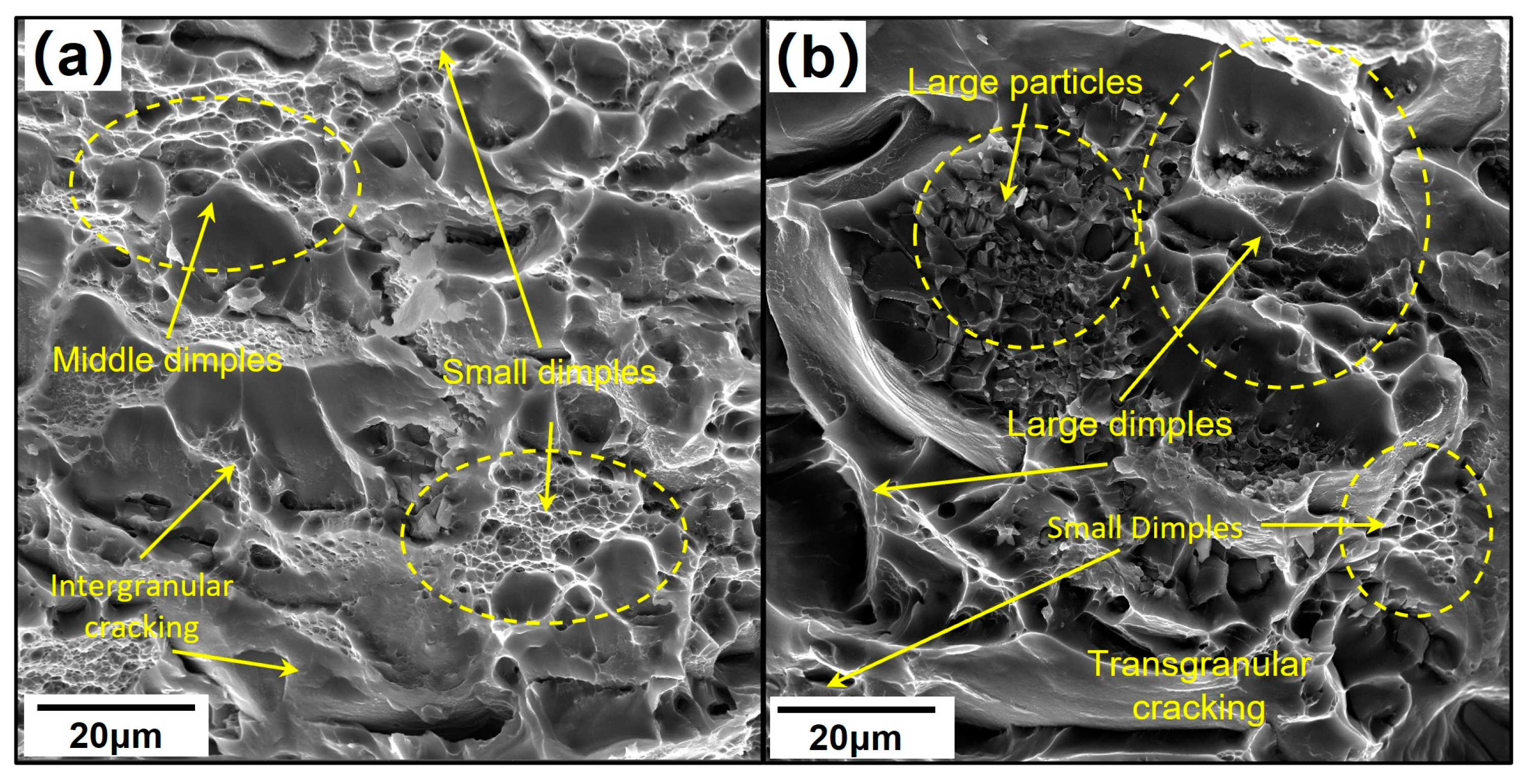 Materials 18 00391 g005