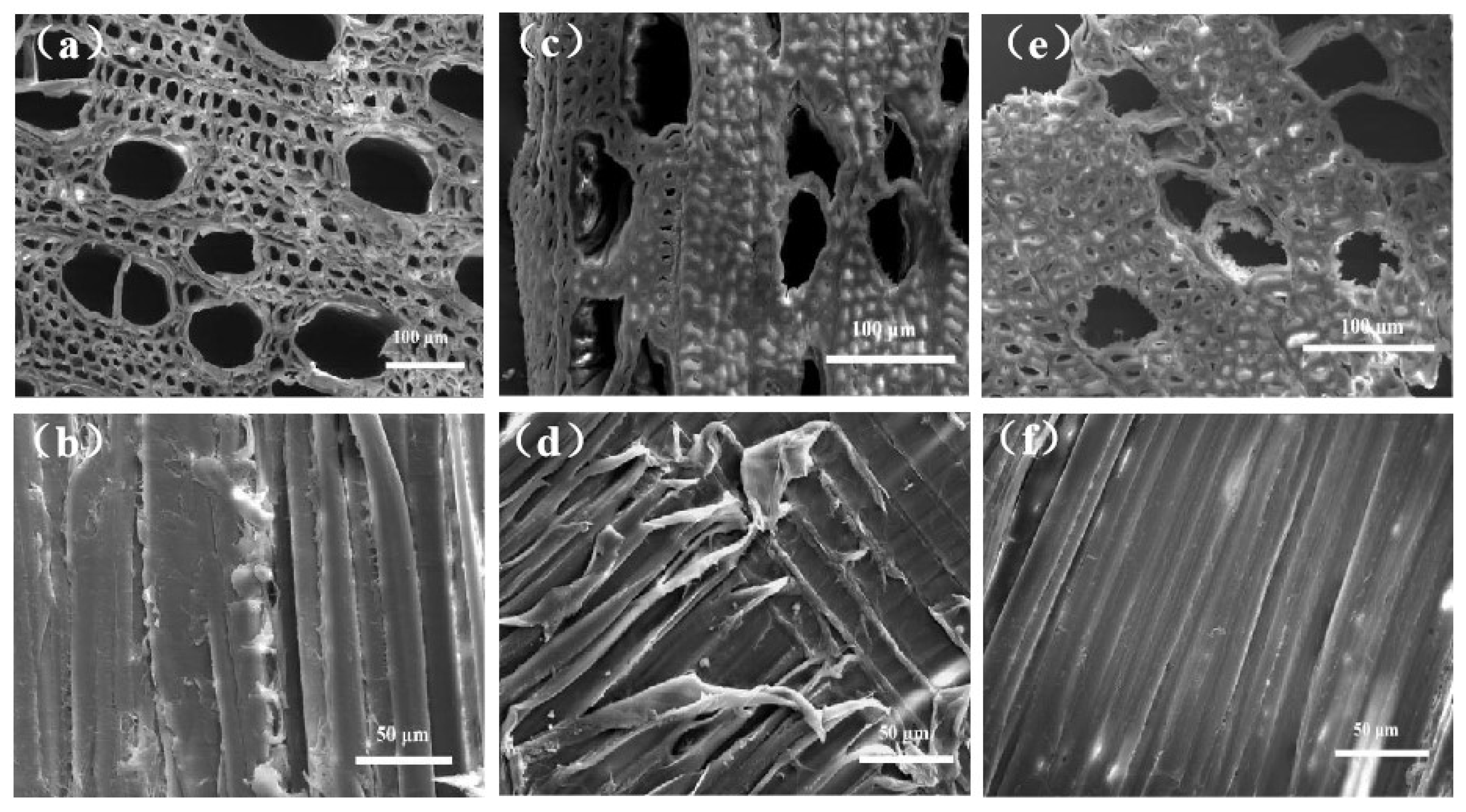 Materials 18 00393 g004