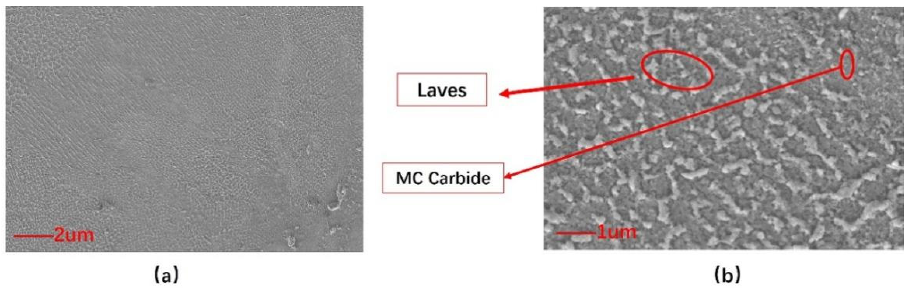 Materials 18 00396 g005