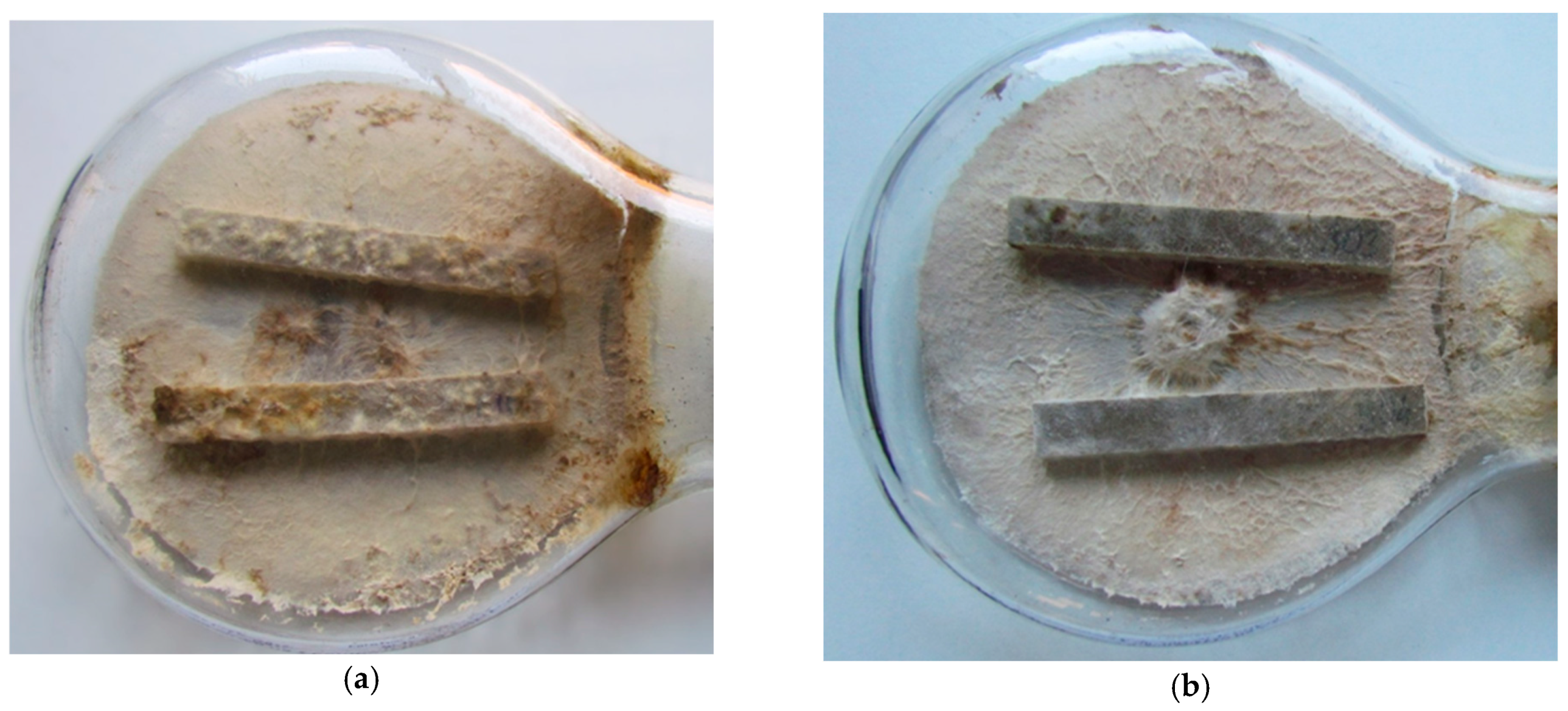 Materials 18 00411 g004