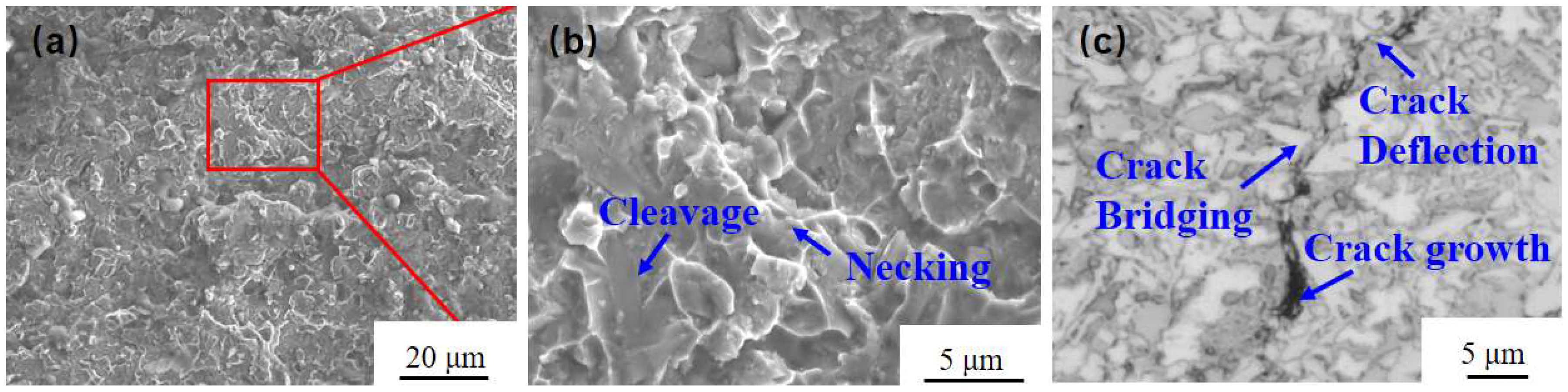 Materials 18 00419 g007