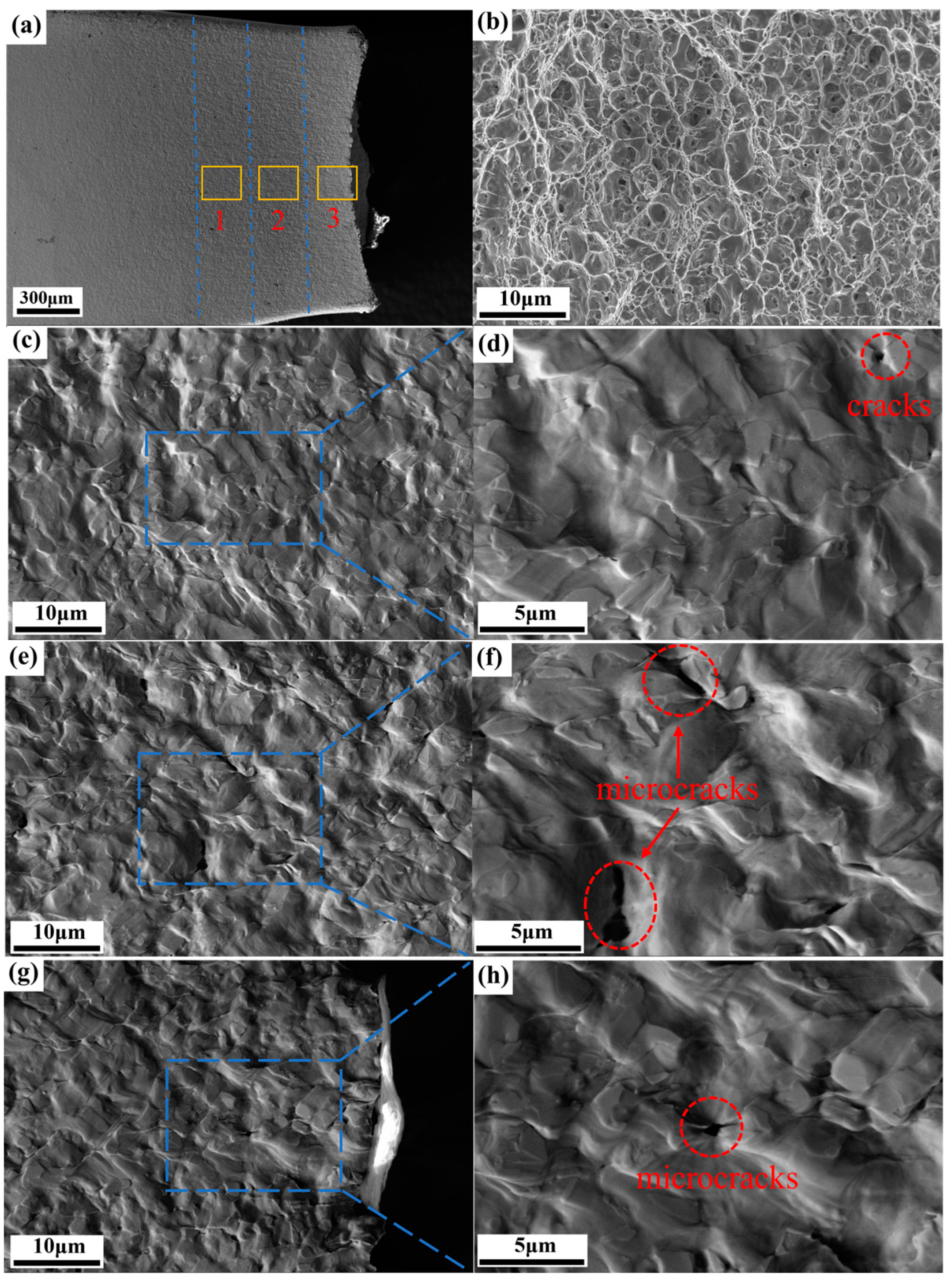 Materials 18 00426 g013