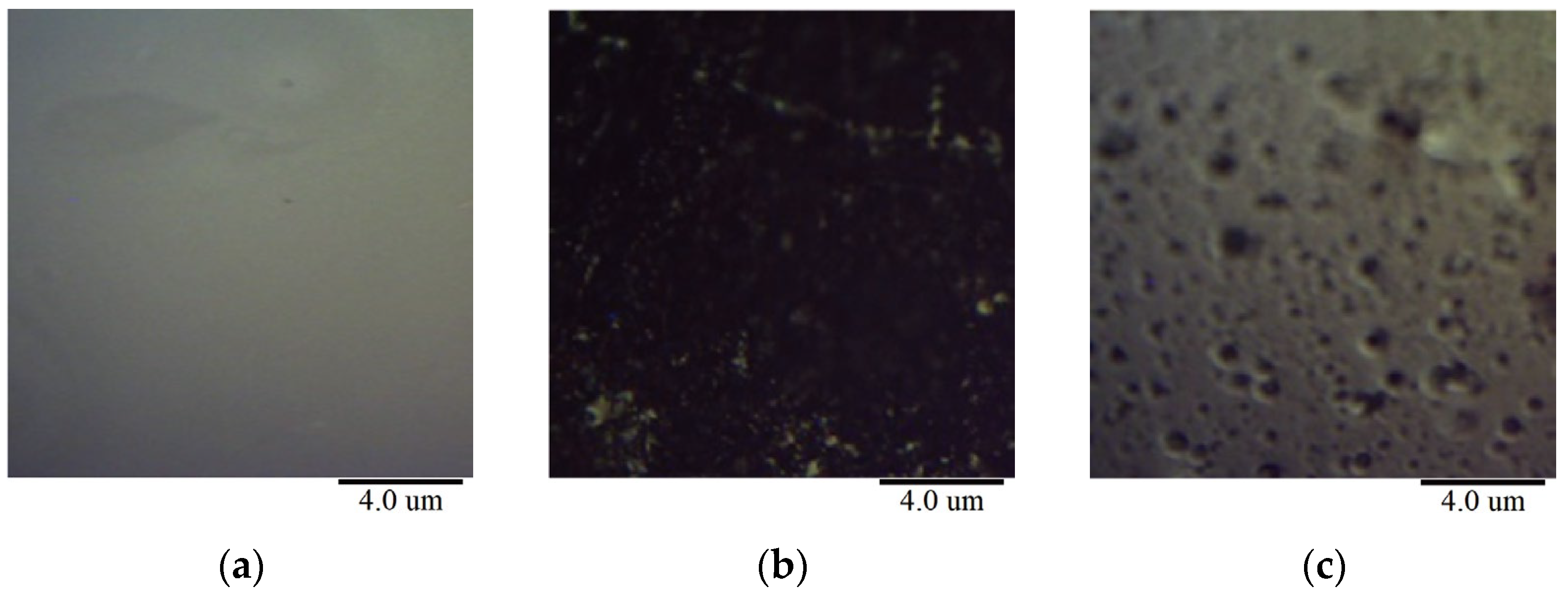 Materials 18 00434 g004