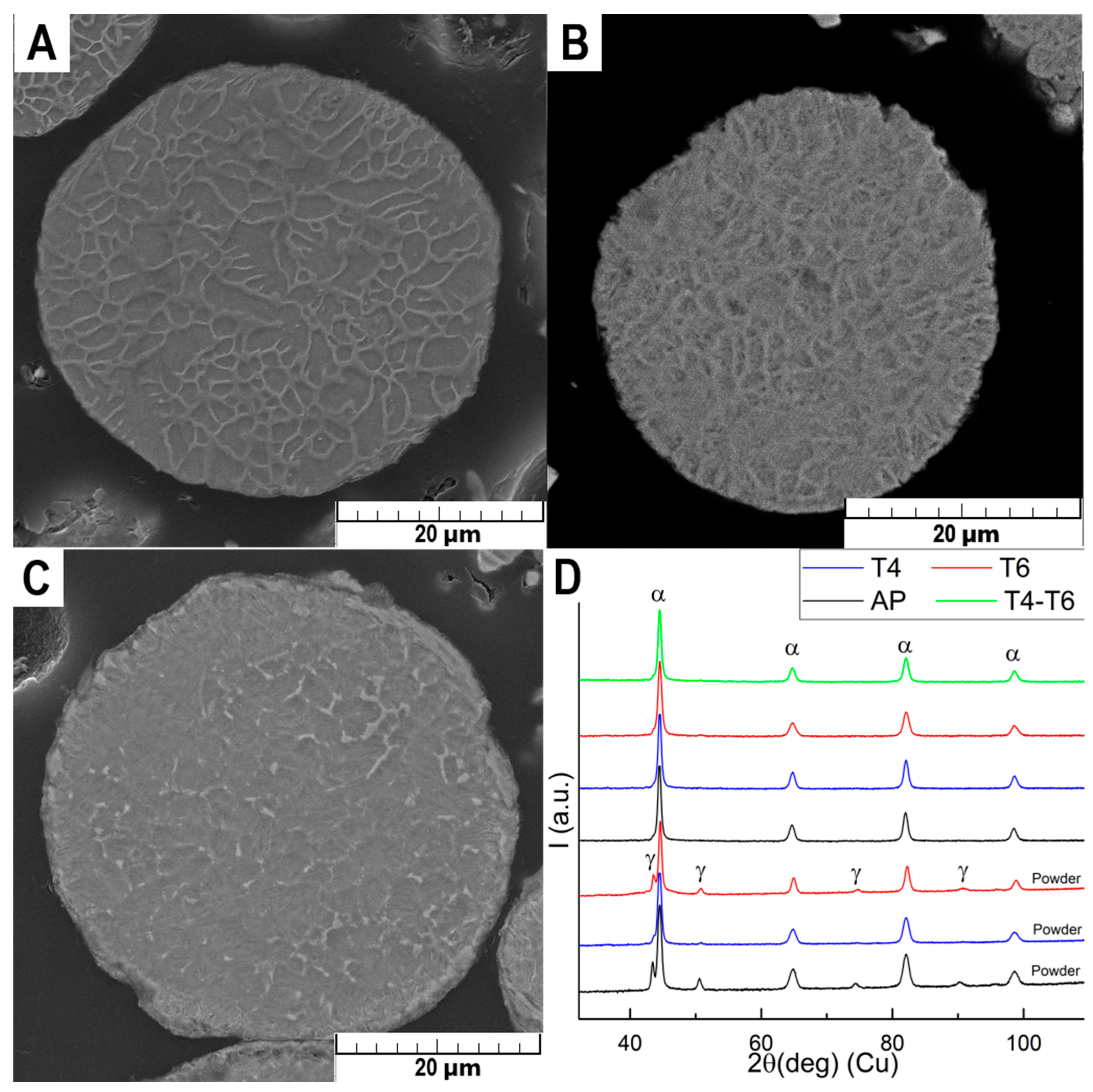 Materials 18 00437 g001