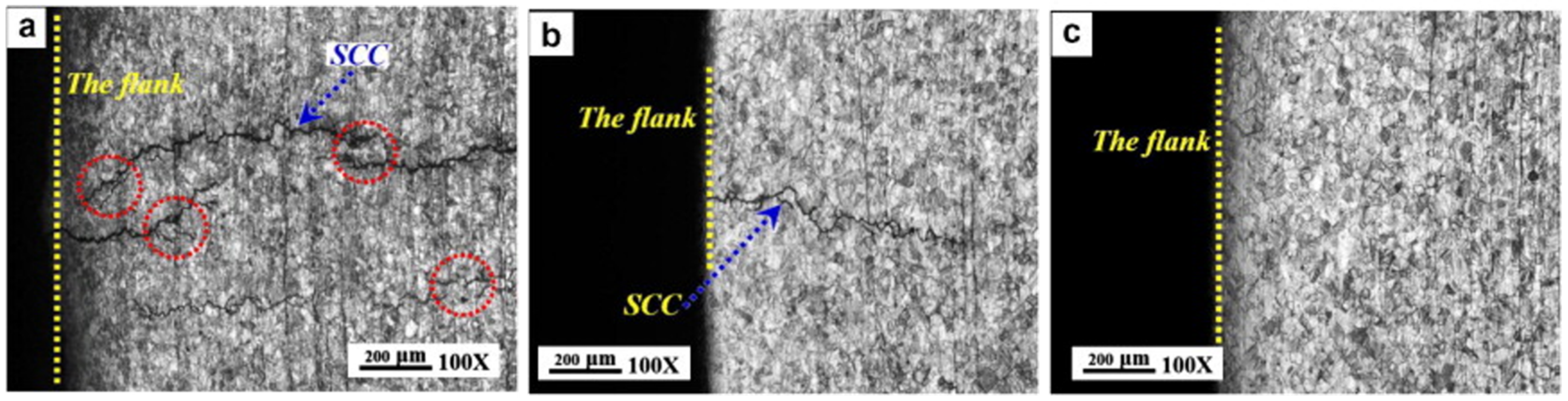 Materials 18 00438 g011