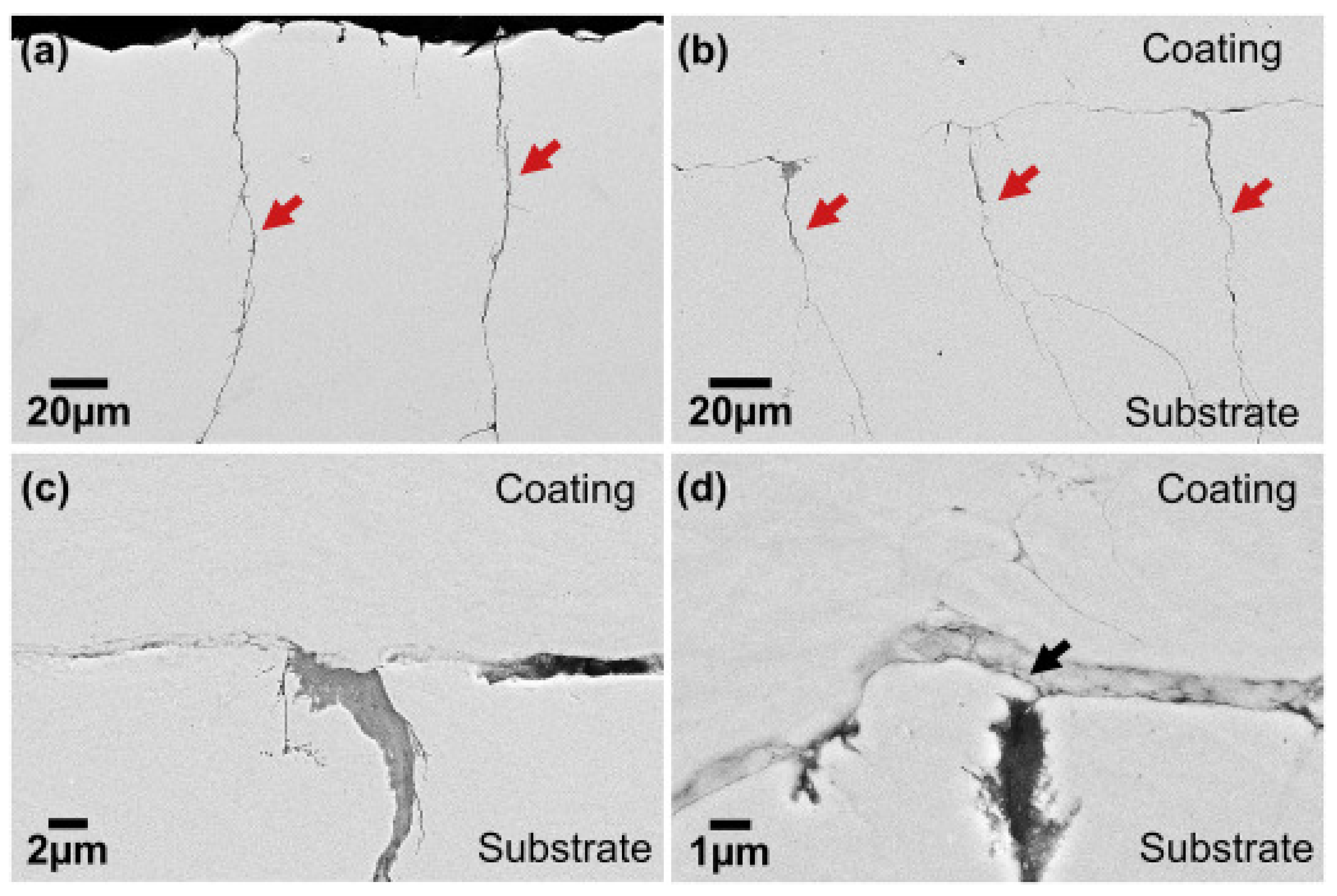 Materials 18 00438 g019