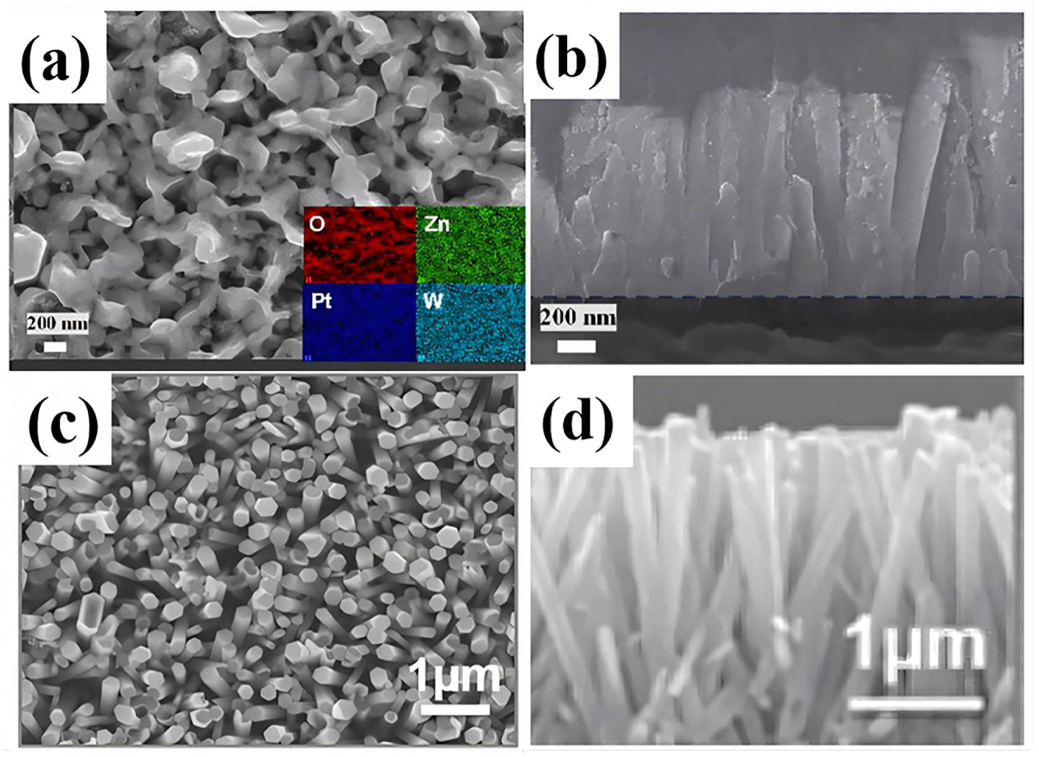 Materials 18 00451 g009