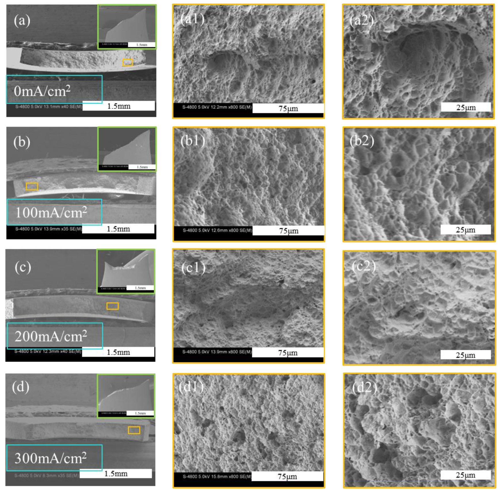 Materials 18 00467 g003