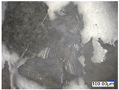 Materials 18 00468 i063