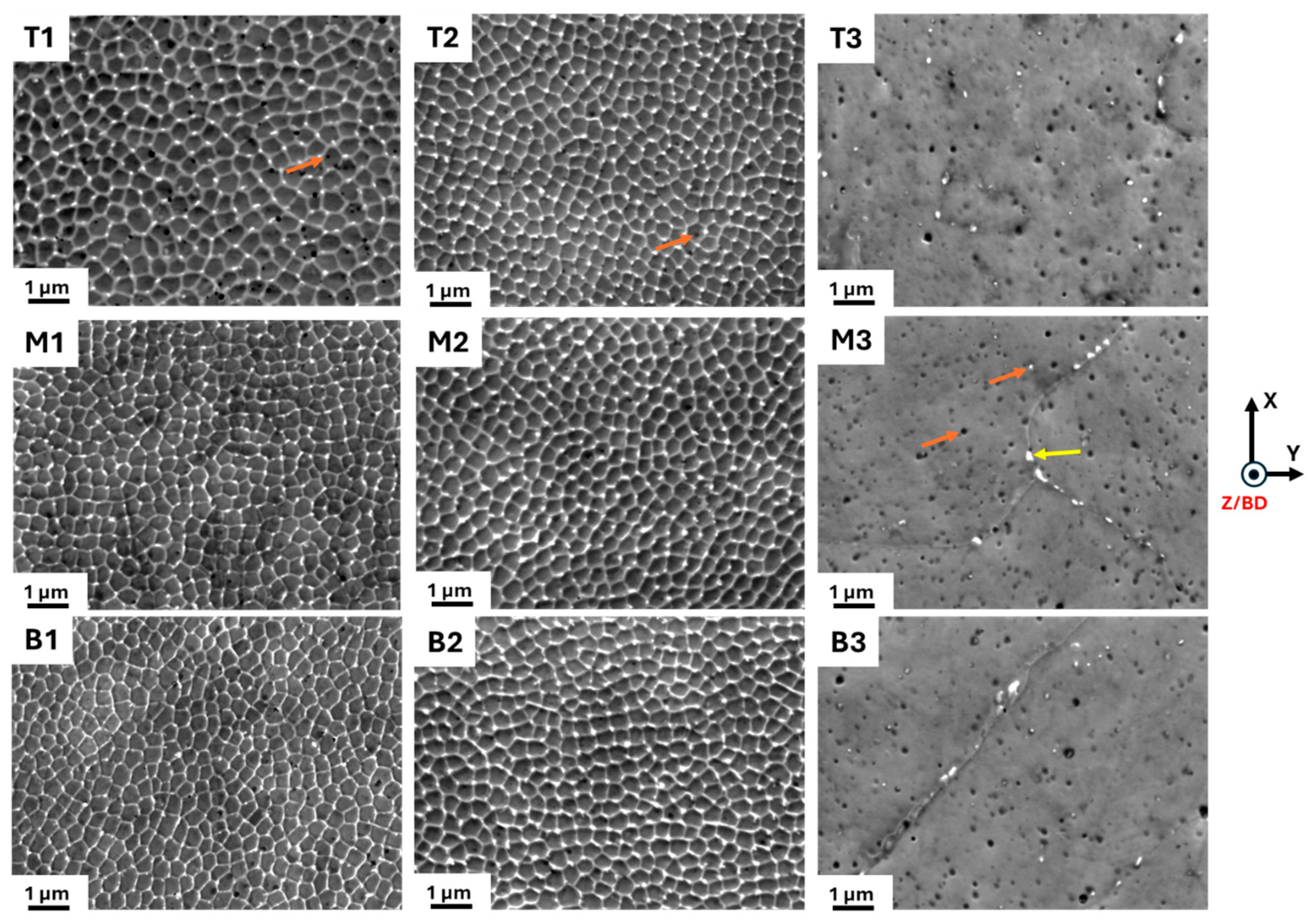 Materials 18 00475 g003