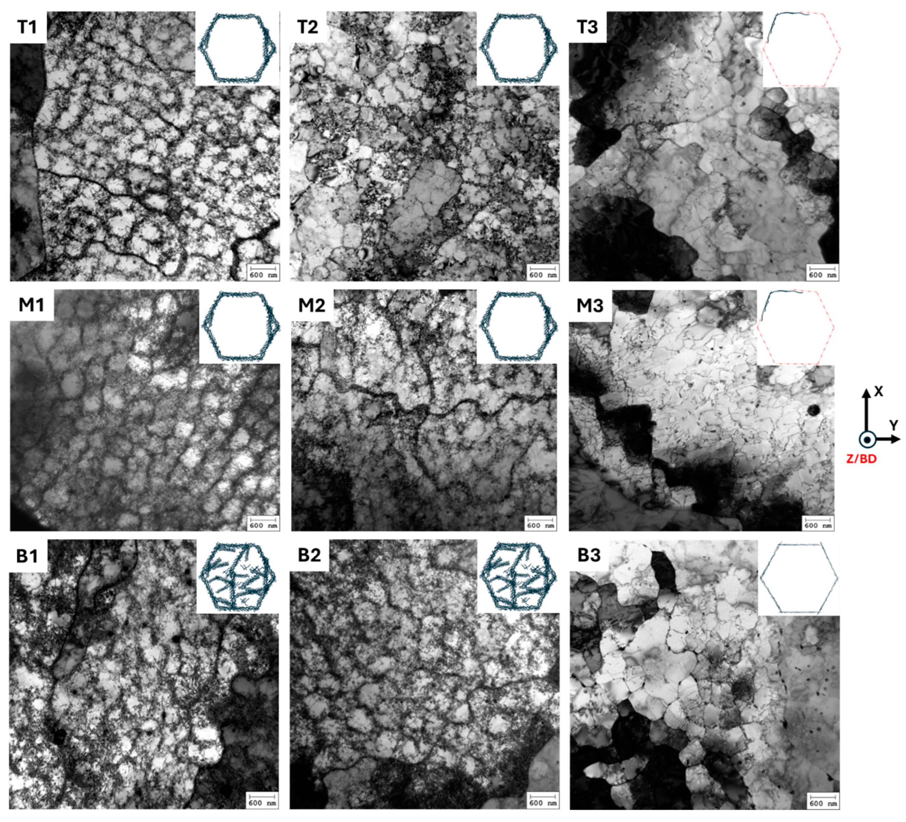 Materials 18 00475 g005