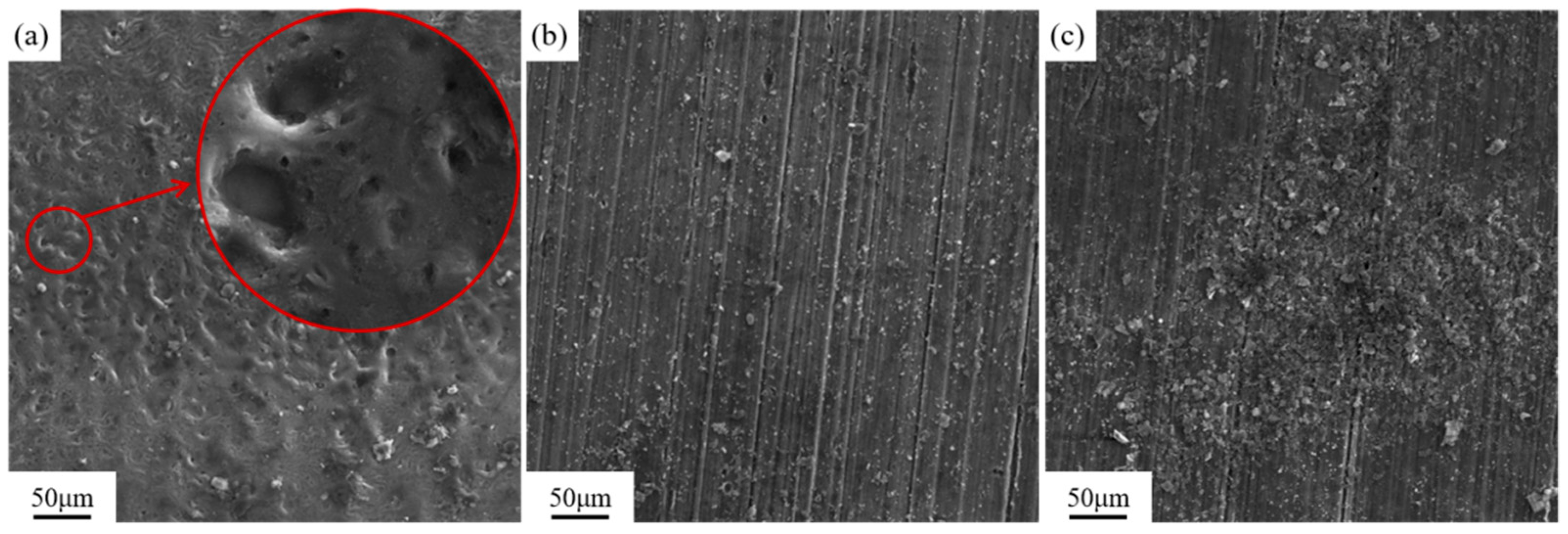 Materials 18 00484 g016