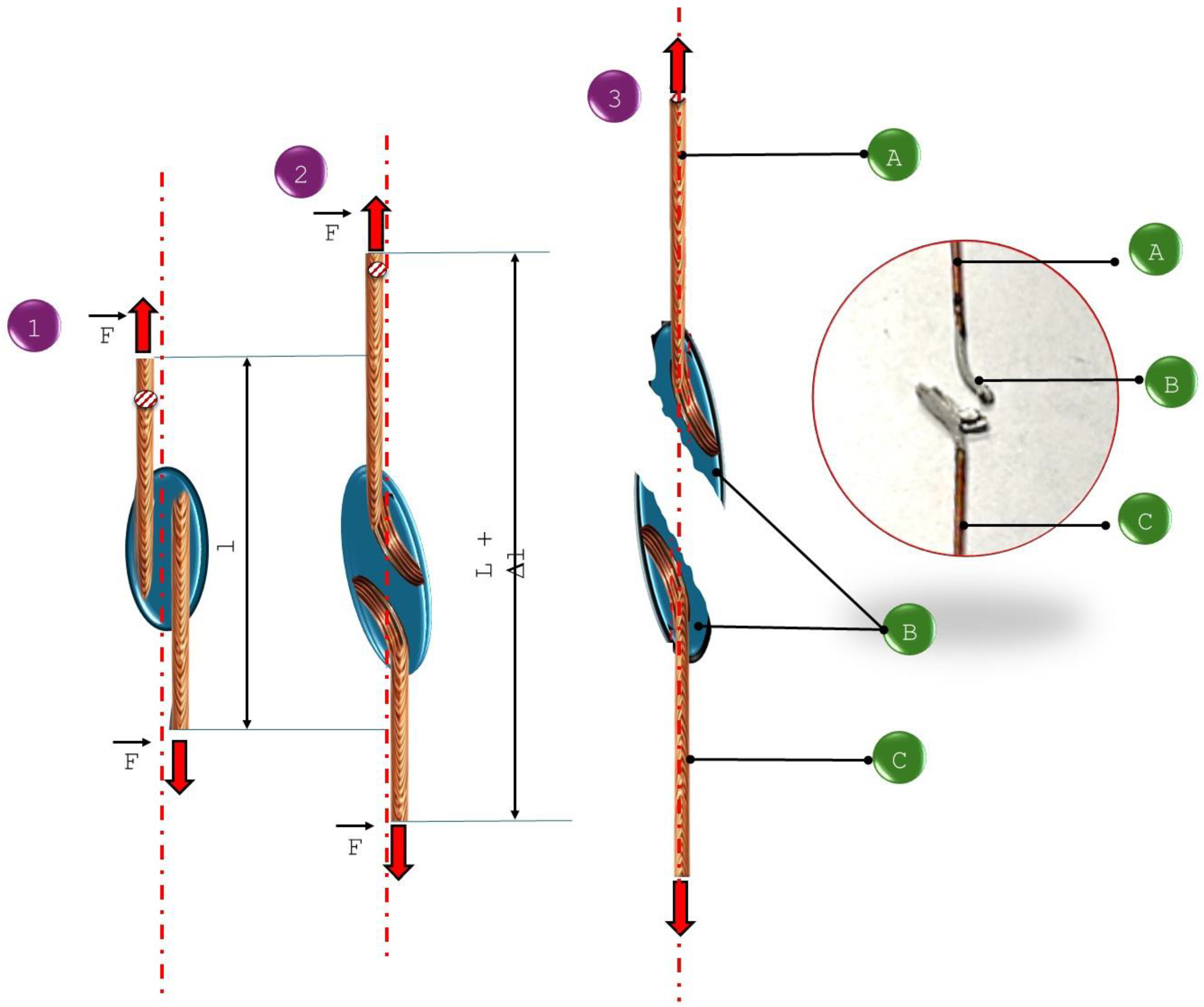Materials 18 00489 g010