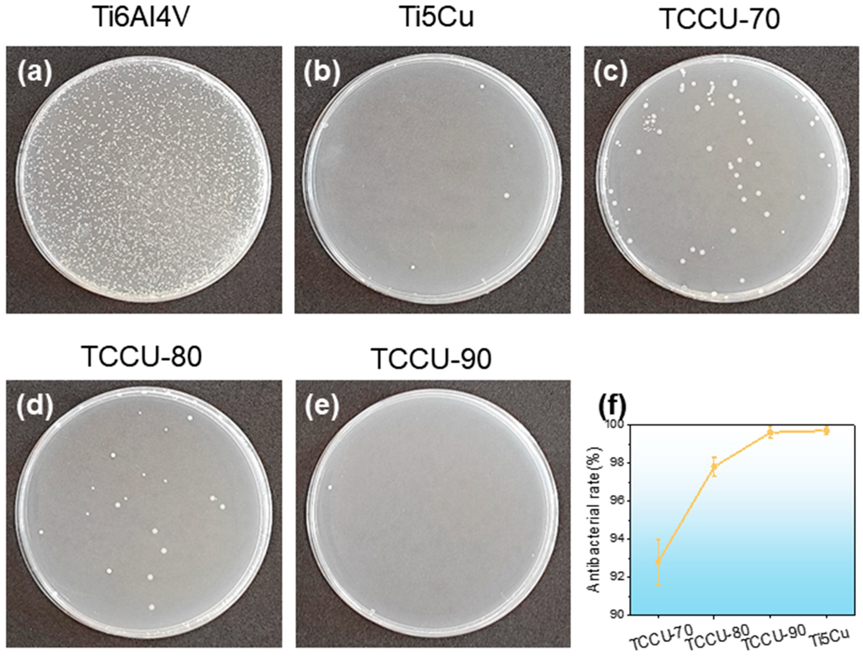 Materials 18 00491 g010