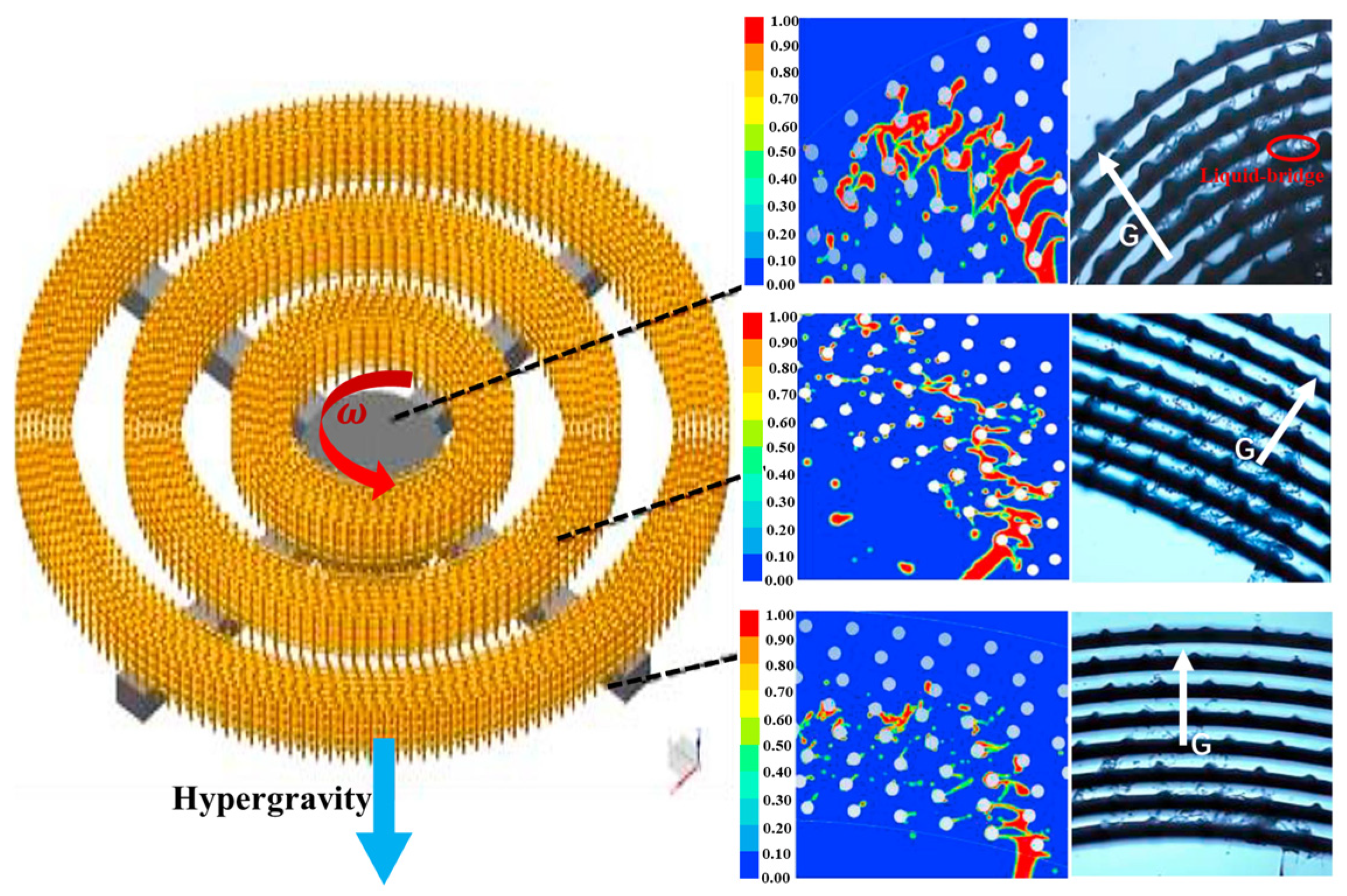 Materials 18 00496 g004