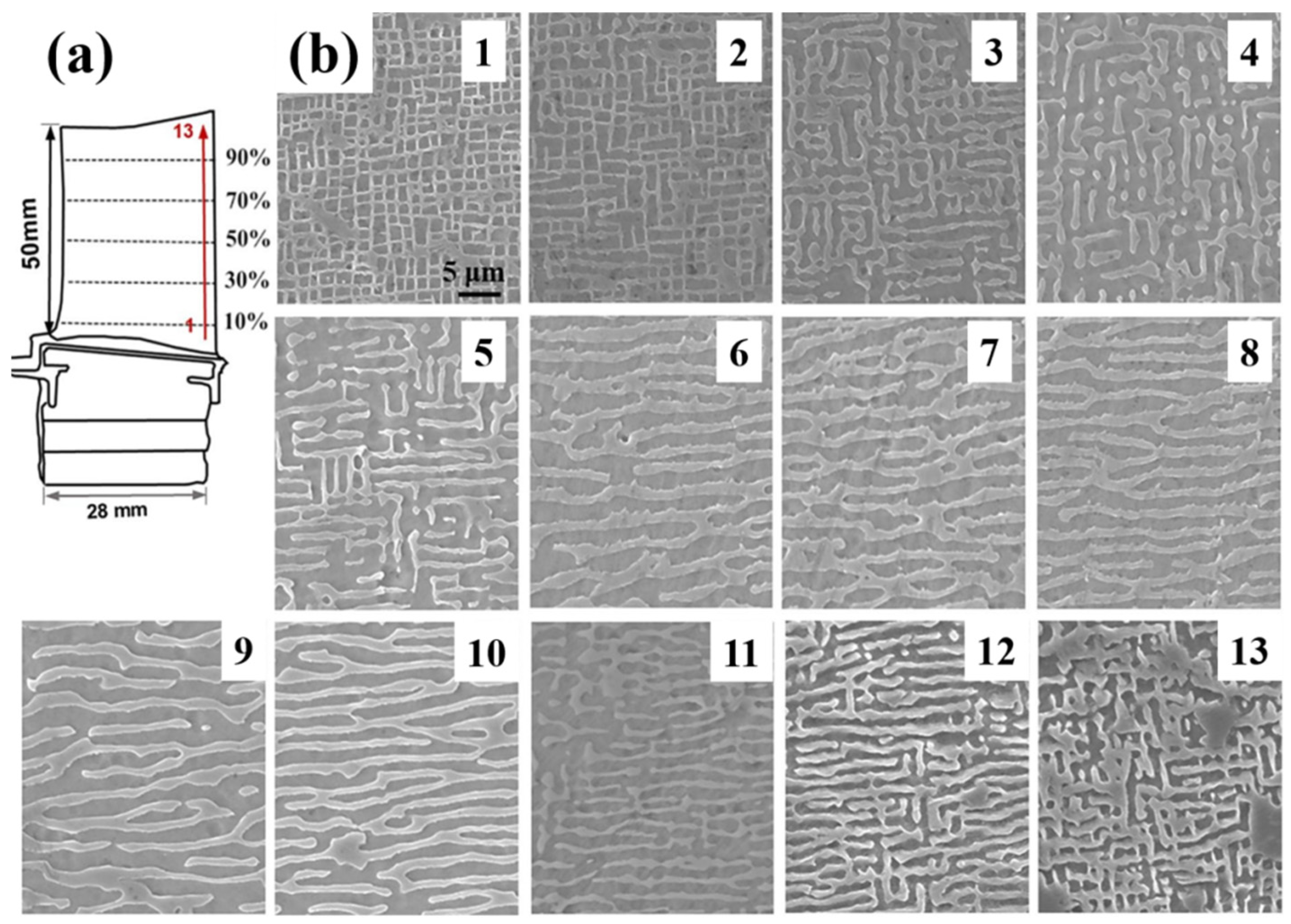Materials 18 00496 g025