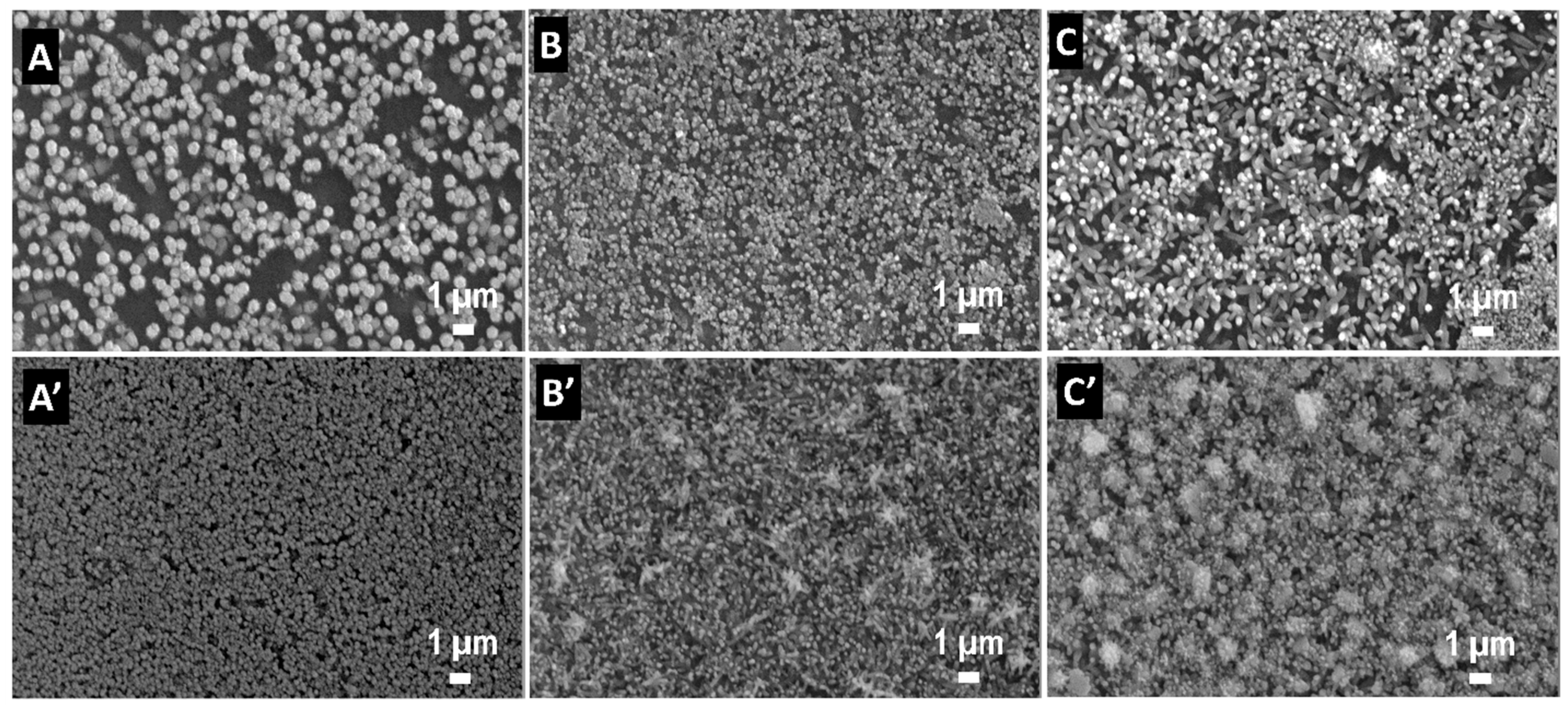 Materials 18 00497 g005