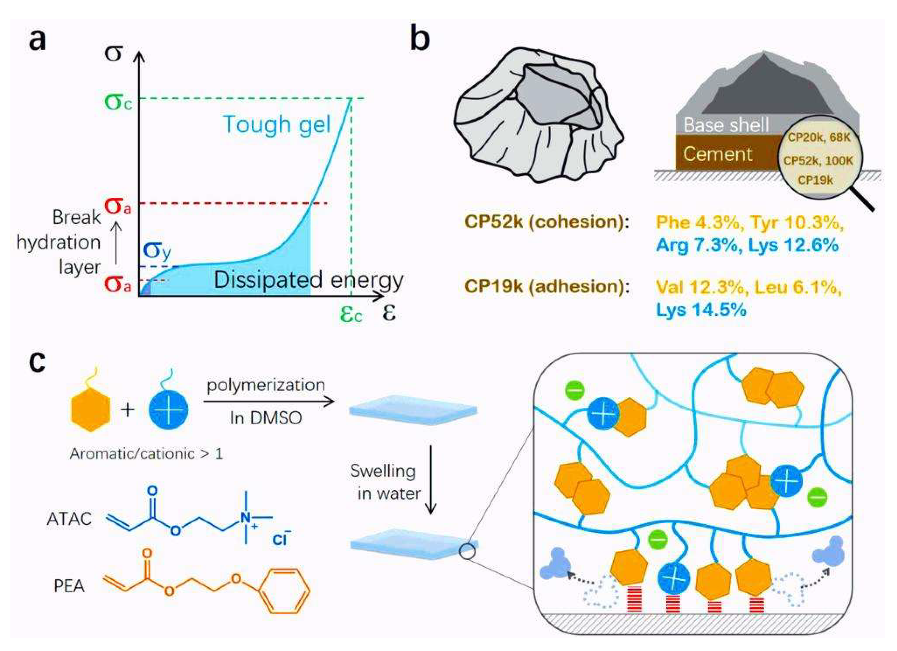 Materials 18 00502 g003