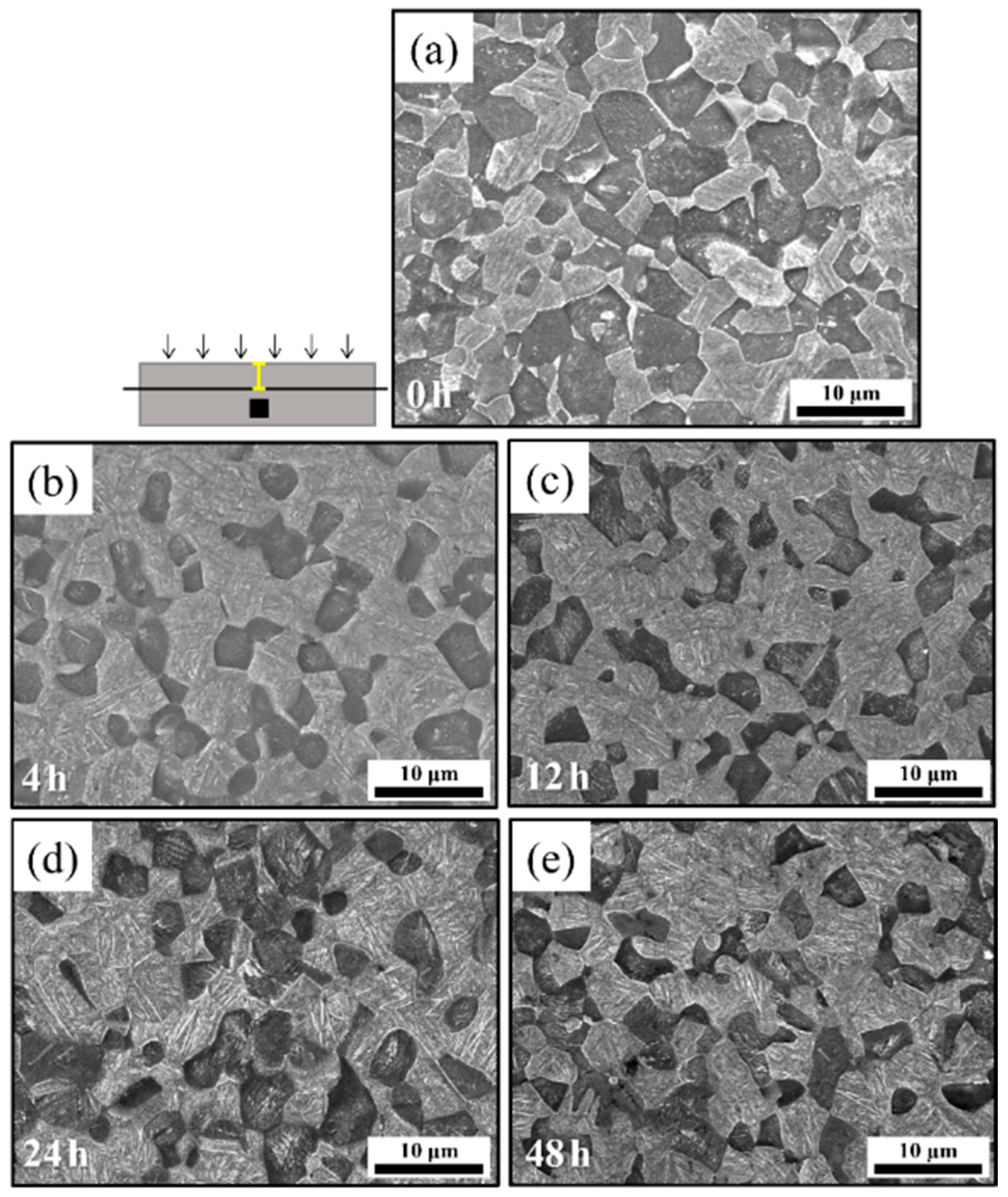 Materials 18 00518 g011 Materials 18 00518 g011