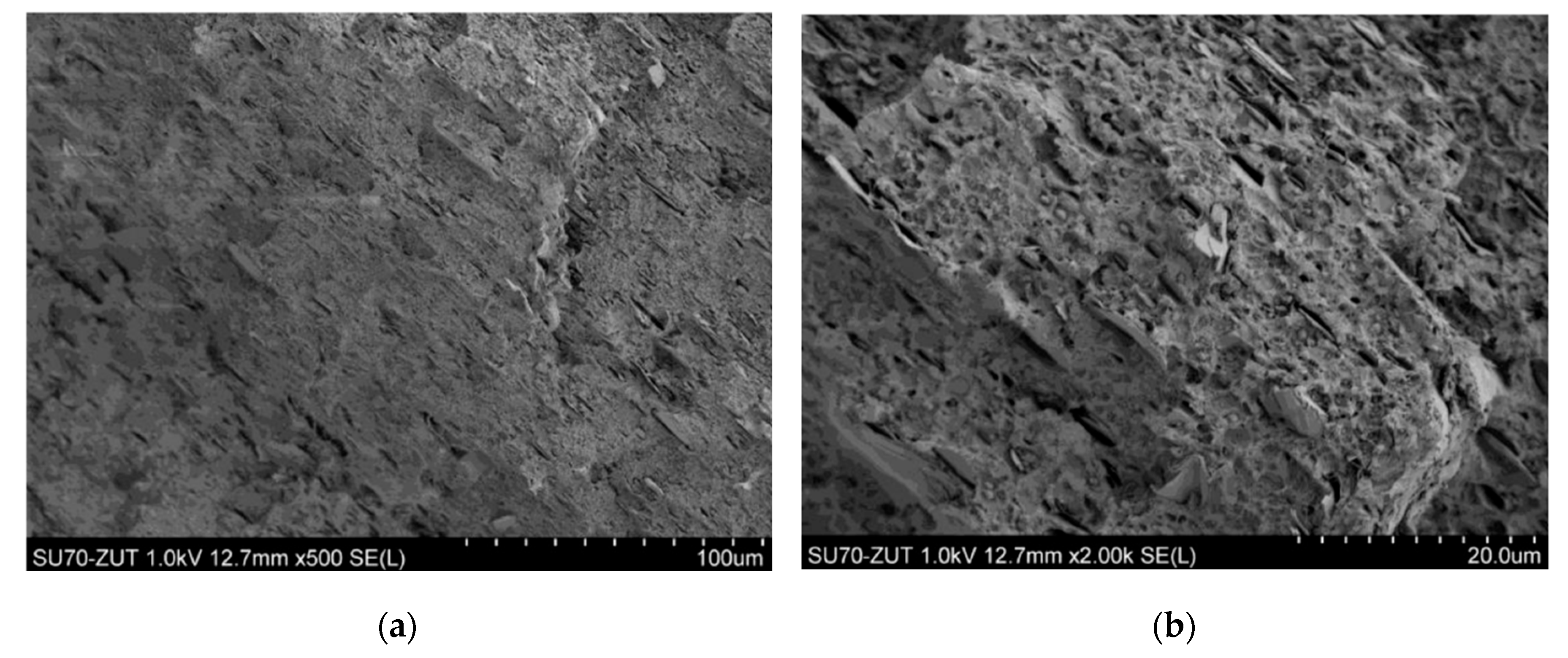 Materials 18 00519 g007