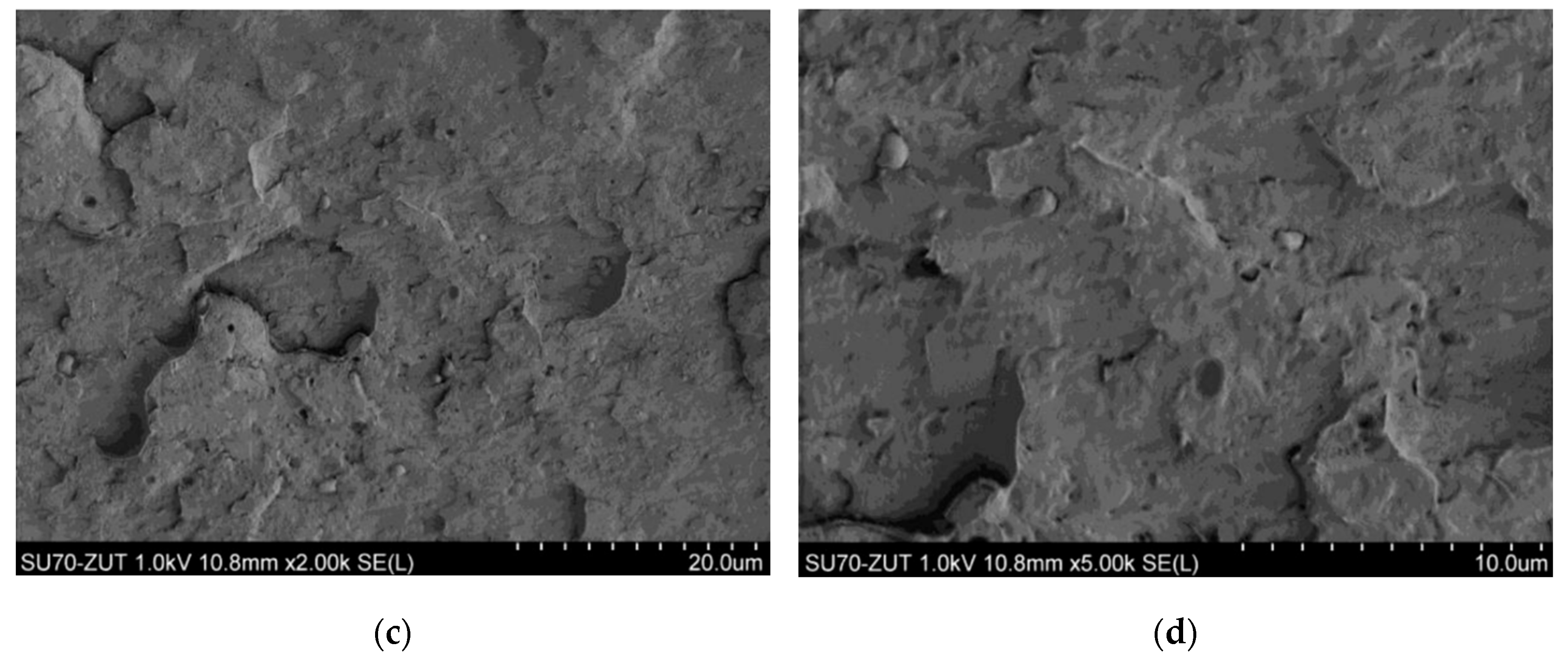 Materials 18 00519 g008b