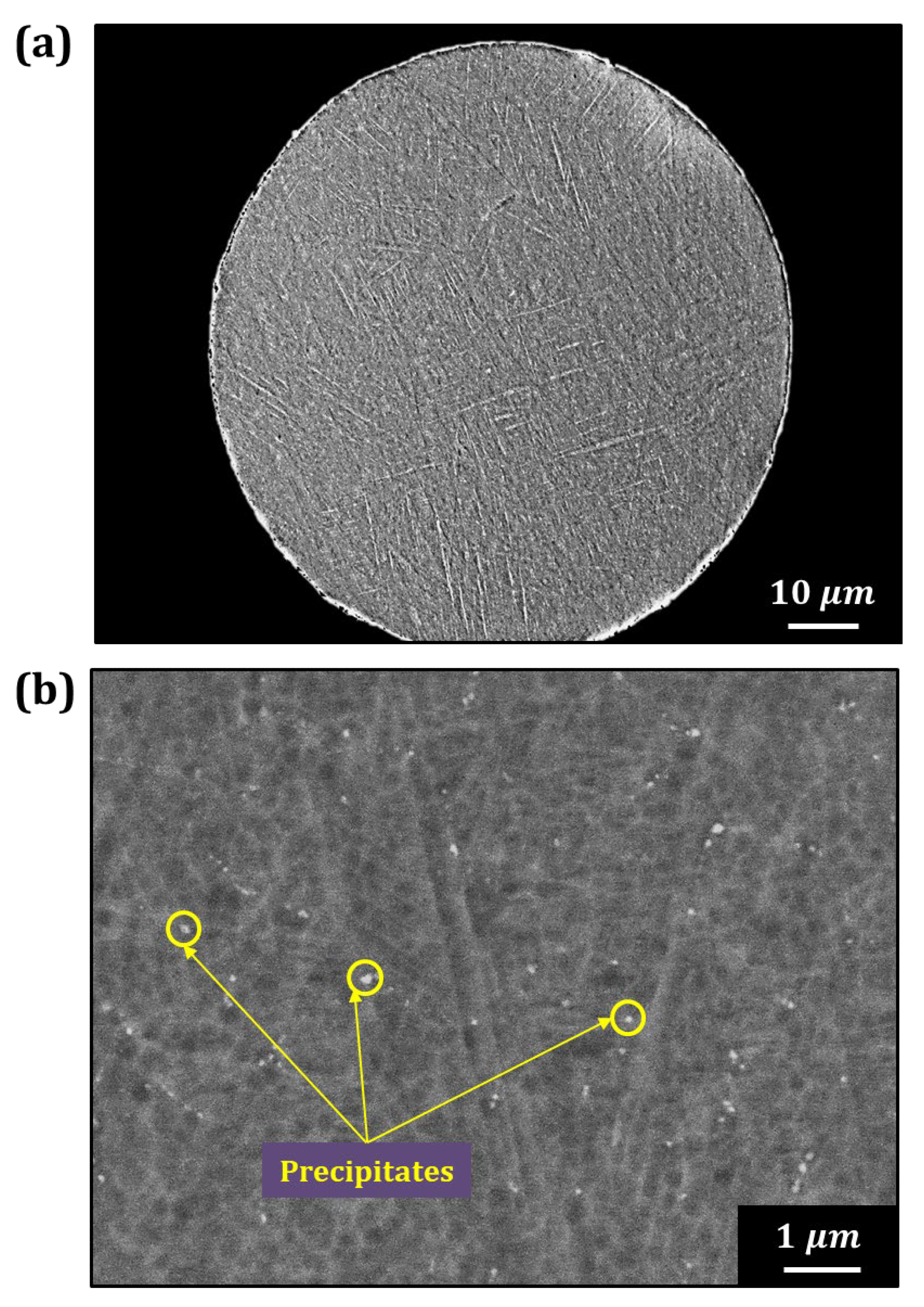 Materials 18 00521 g009