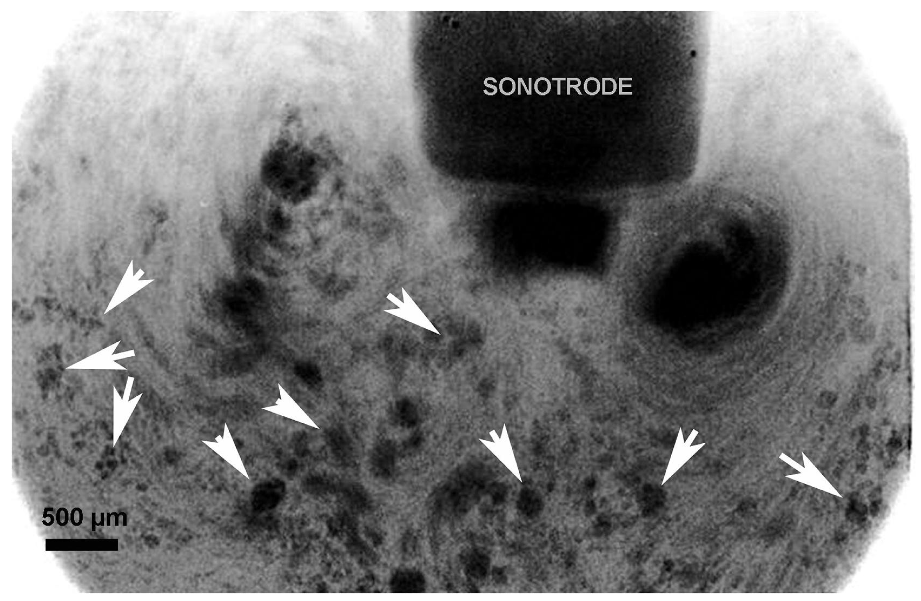 Materials 18 00522 g006