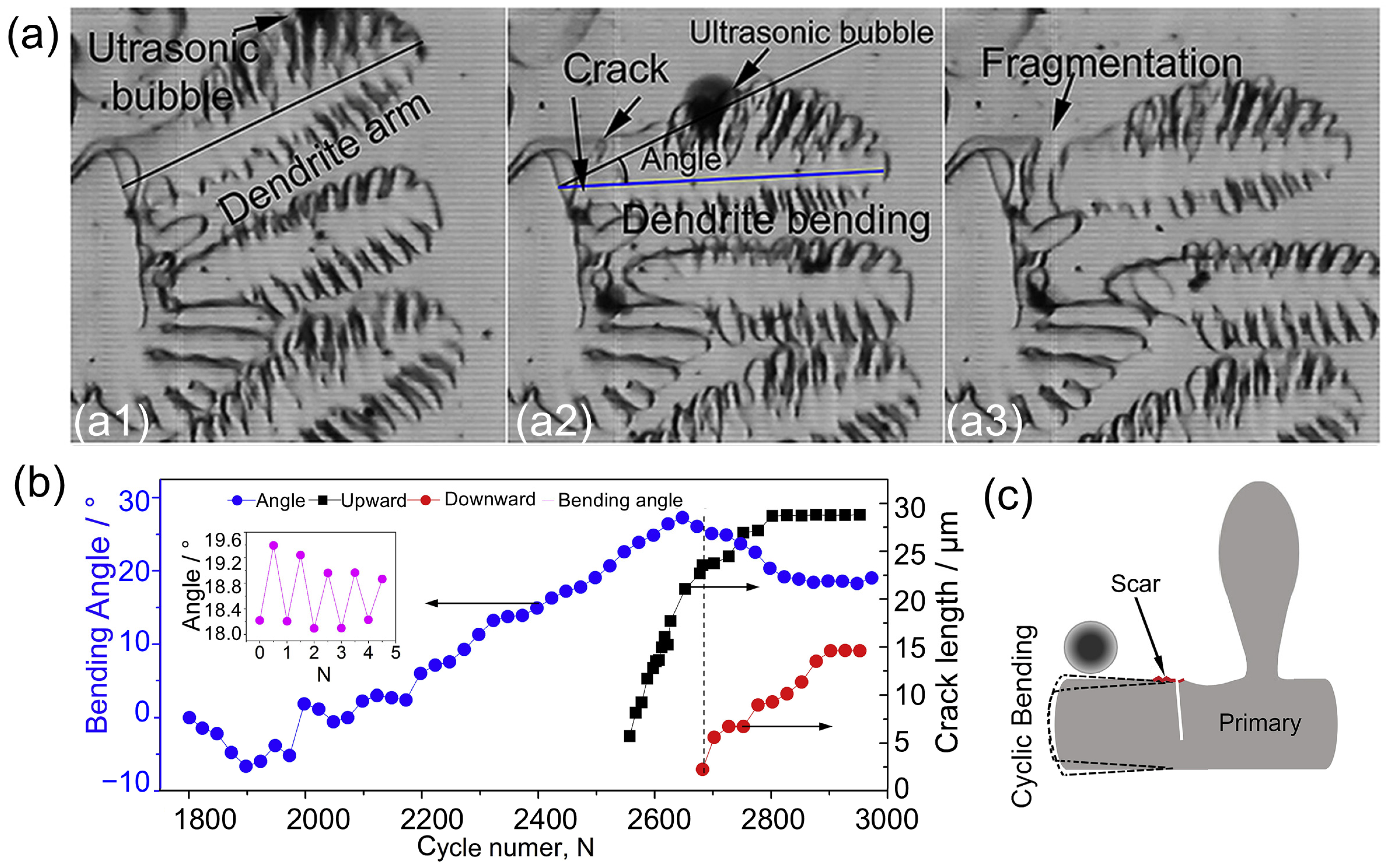 Materials 18 00522 g007
