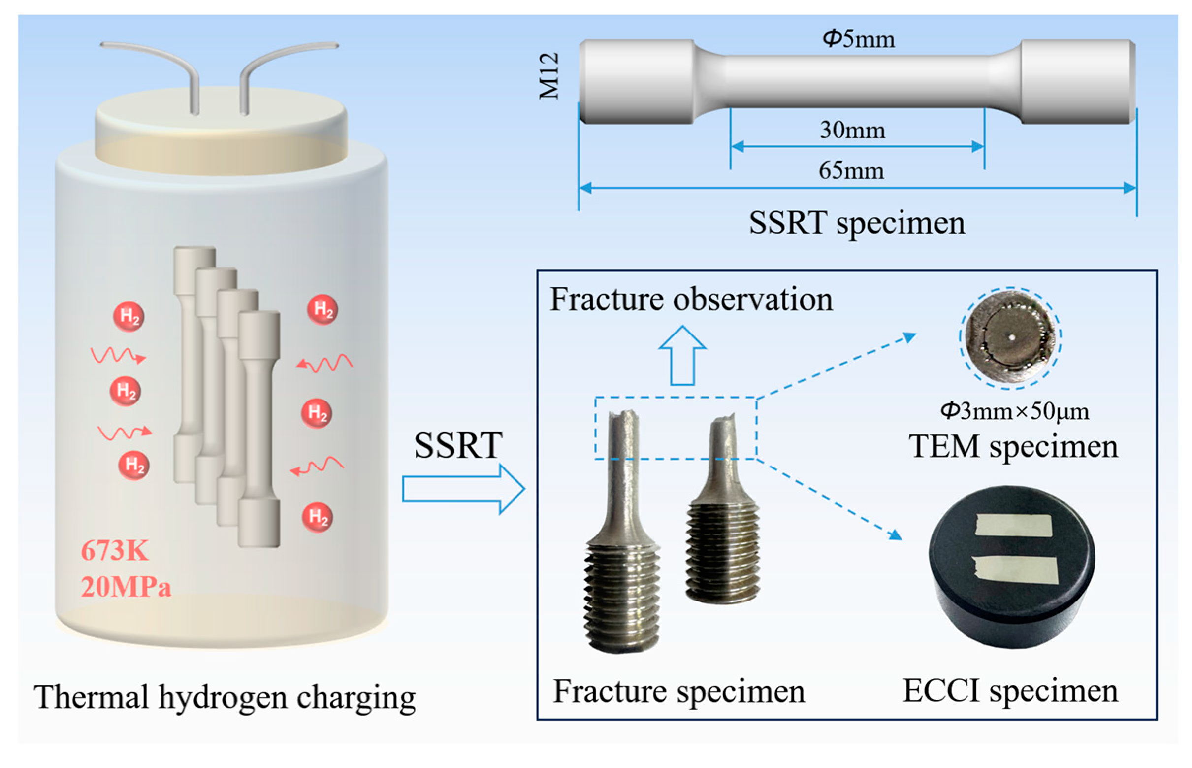 Materials 18 00526 g001