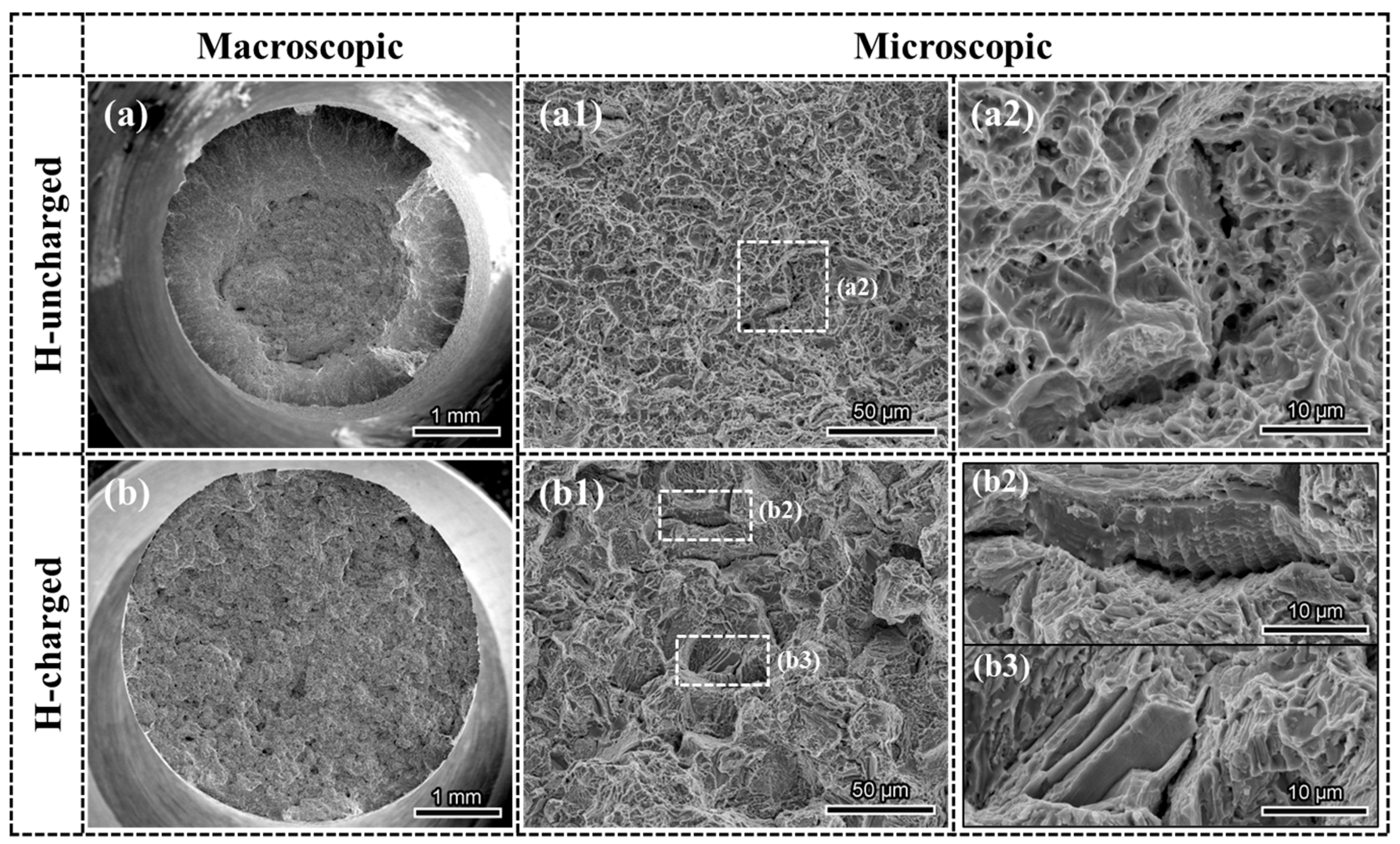 Materials 18 00526 g004