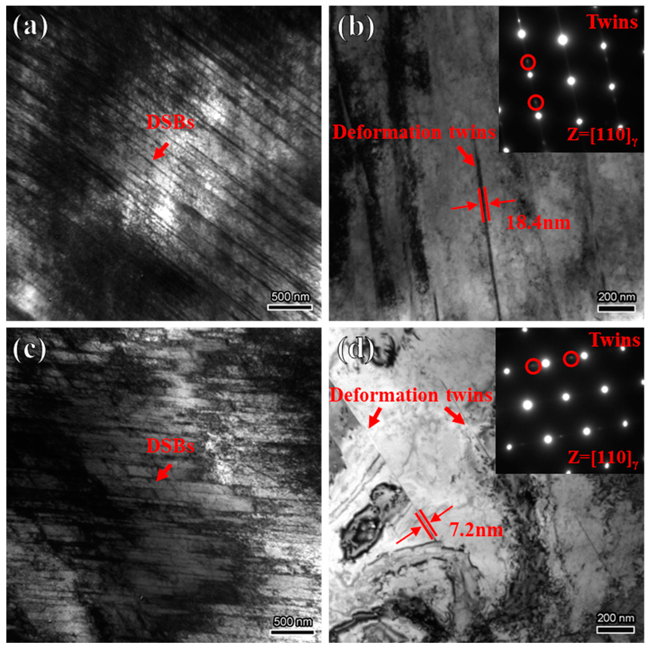 Materials 18 00526 g005