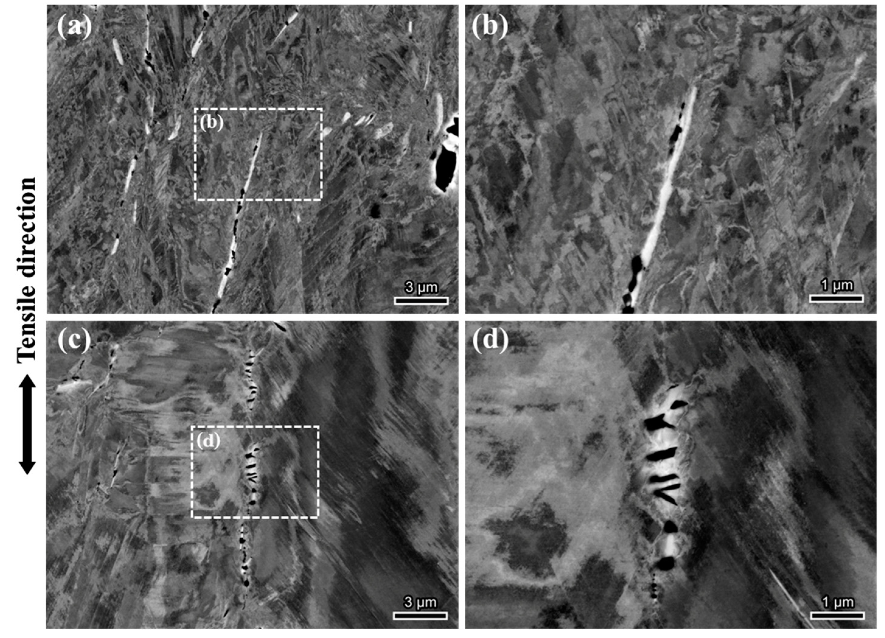 Materials 18 00526 g006