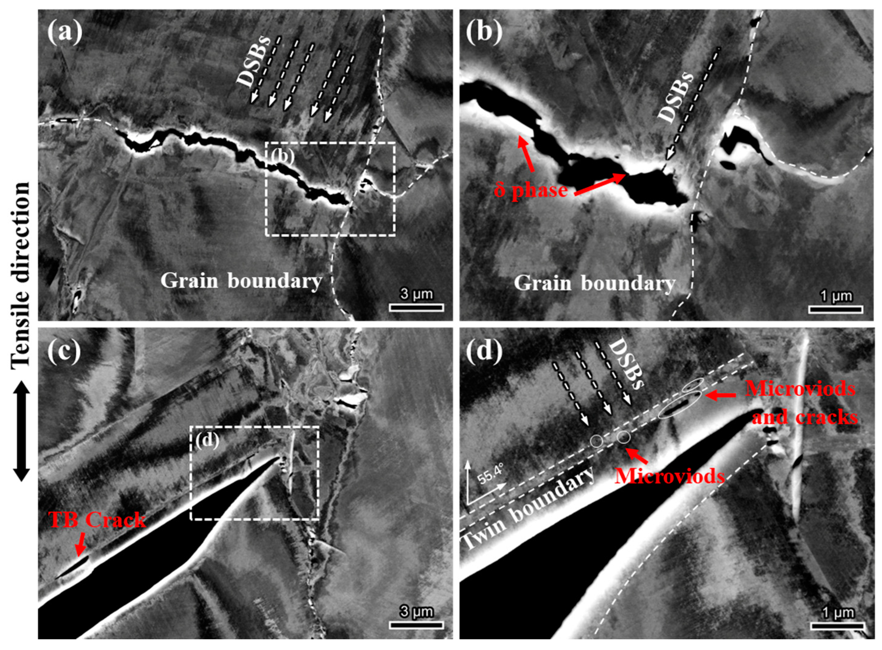 Materials 18 00526 g007