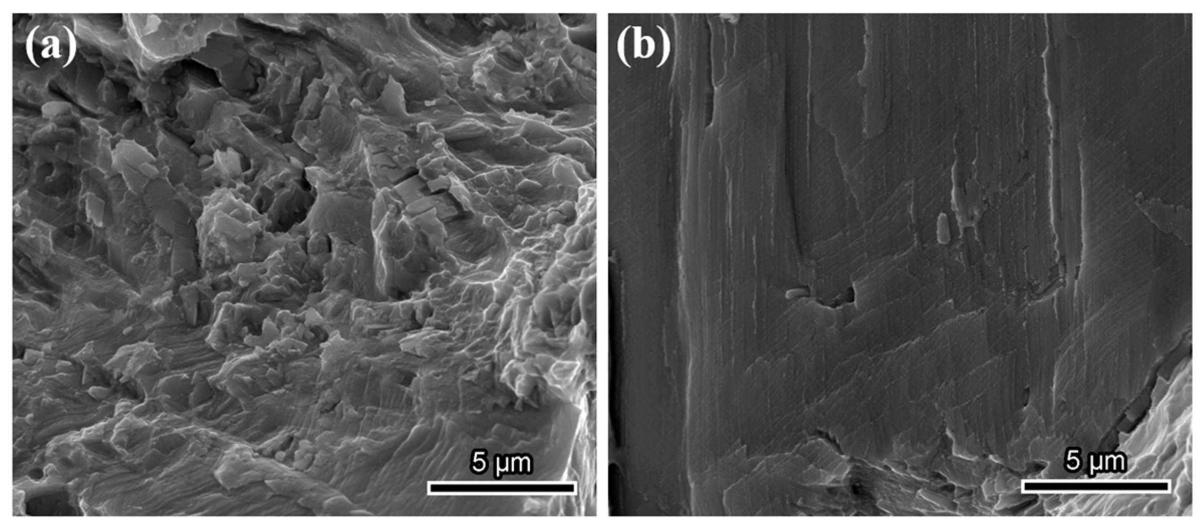 Materials 18 00526 g008