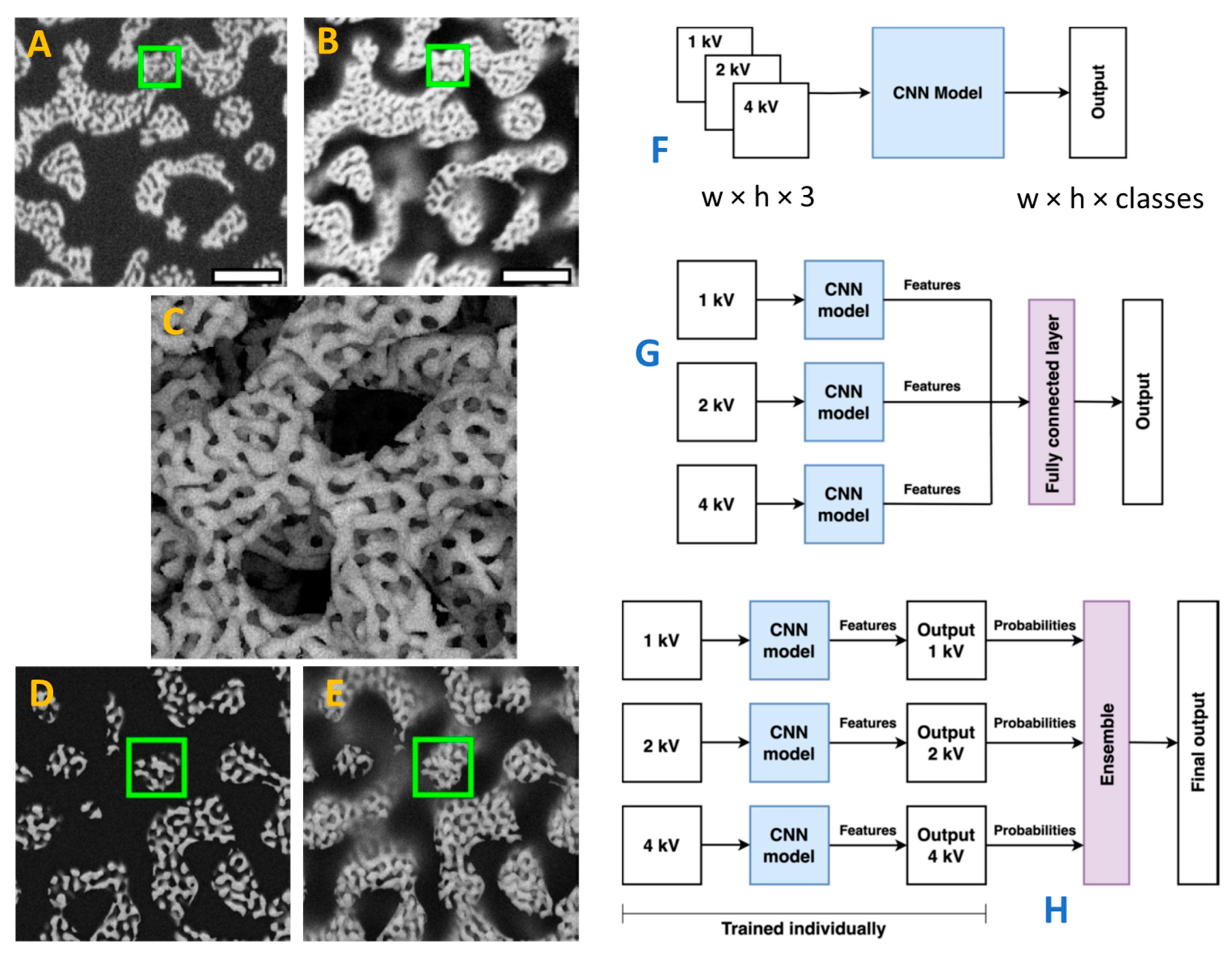 Materials 18 00534 g002