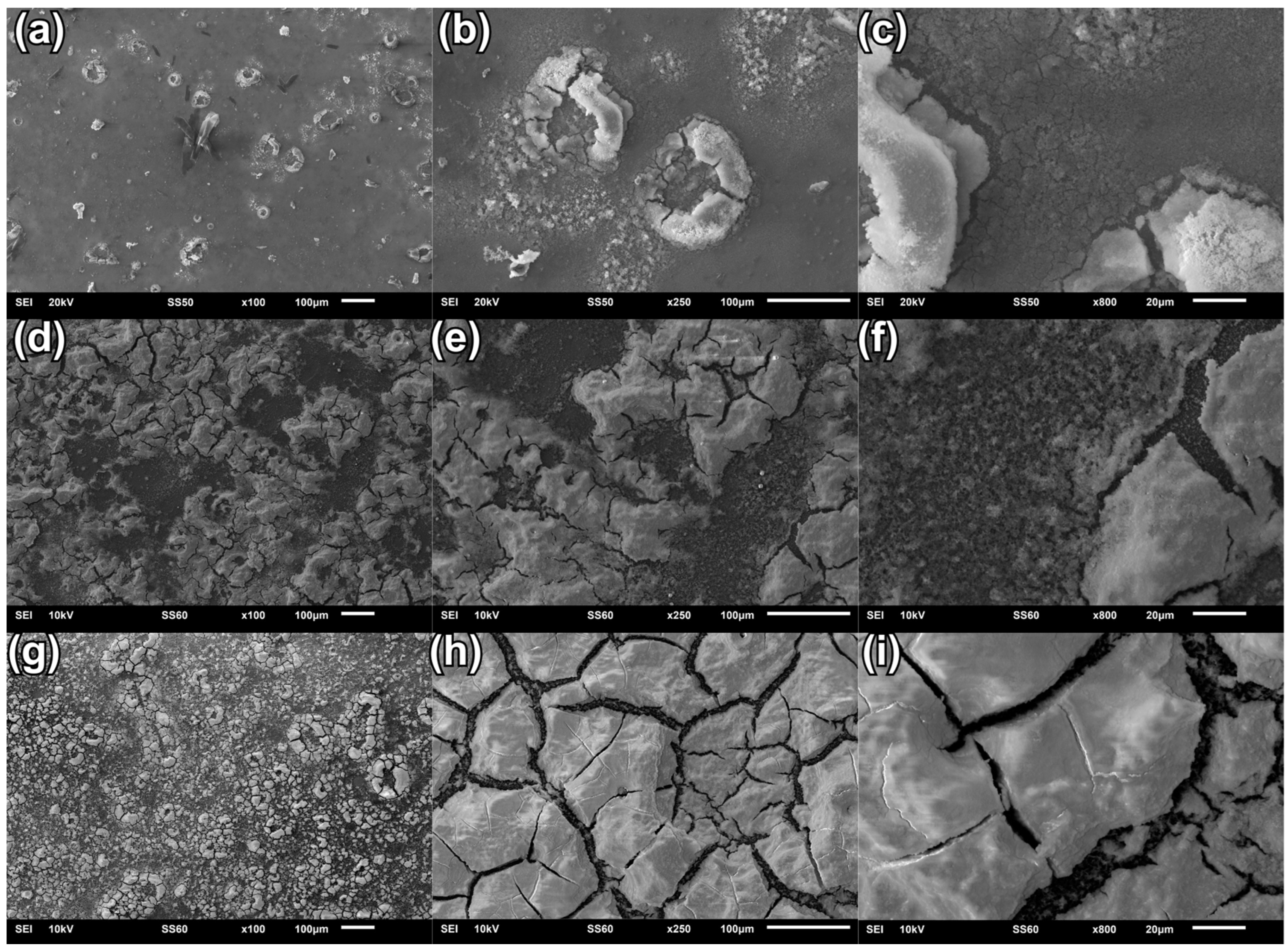 Materials 18 00539 g002